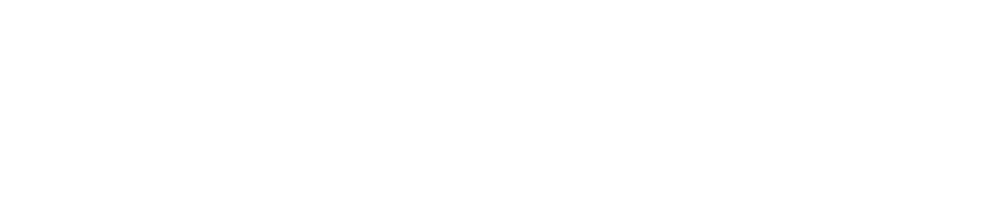 JOEY SNOW DESIGN CO