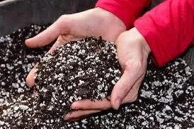 Organic mix (Peat based with volcanic rock for aeration)