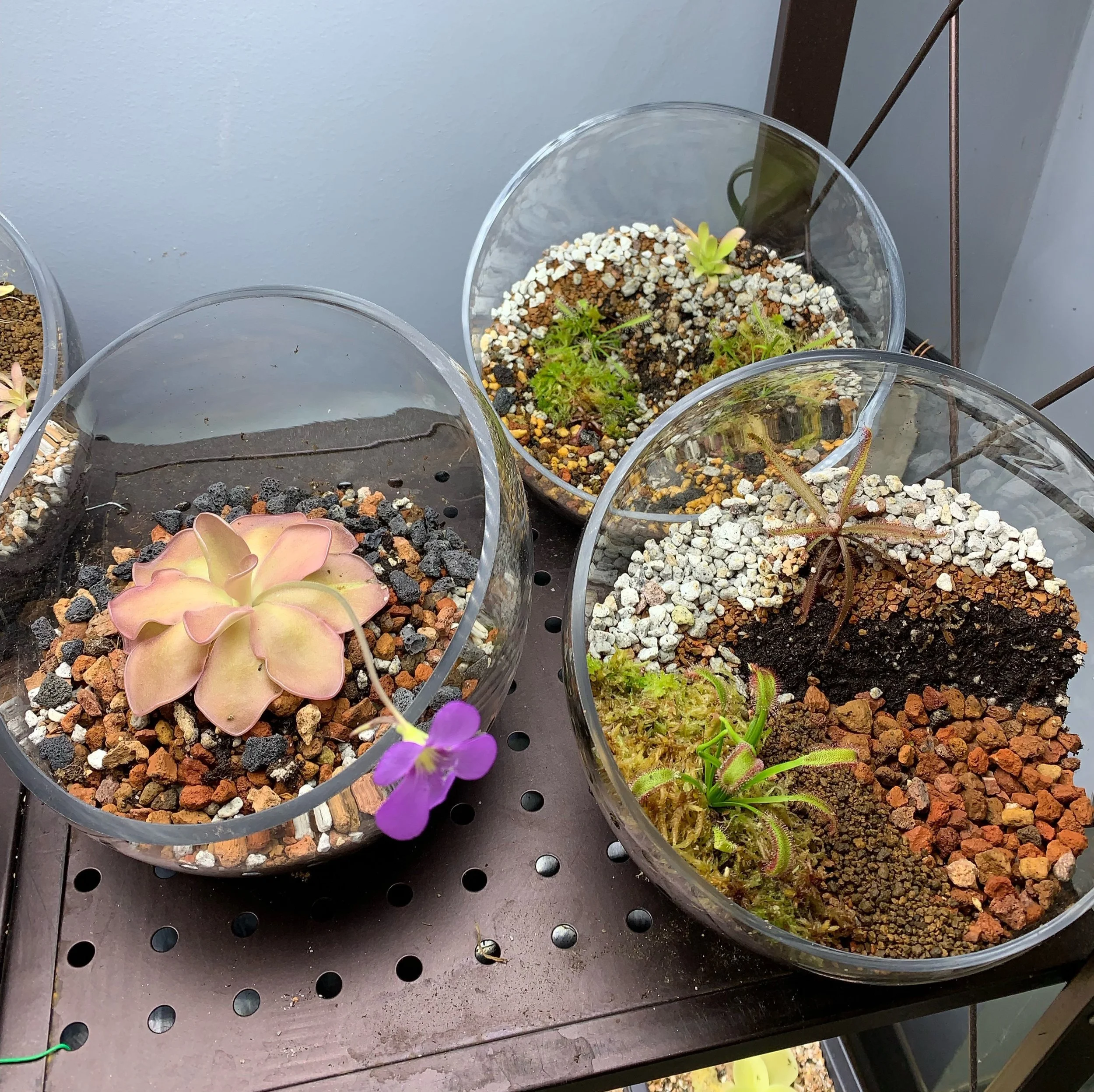 Build-Your-Own Pingdom