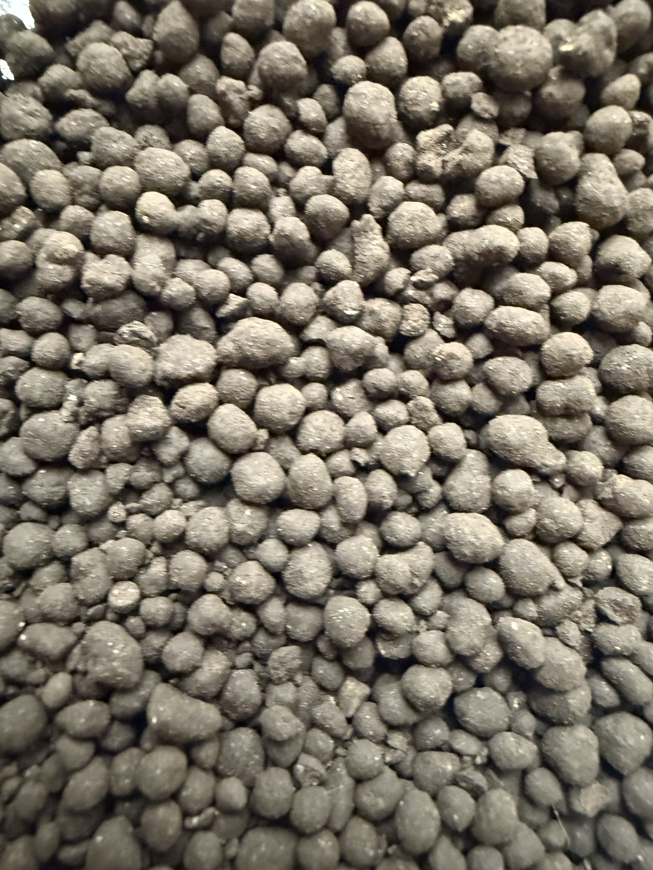 Fluval stratum (Compressed Volcanic Soil)