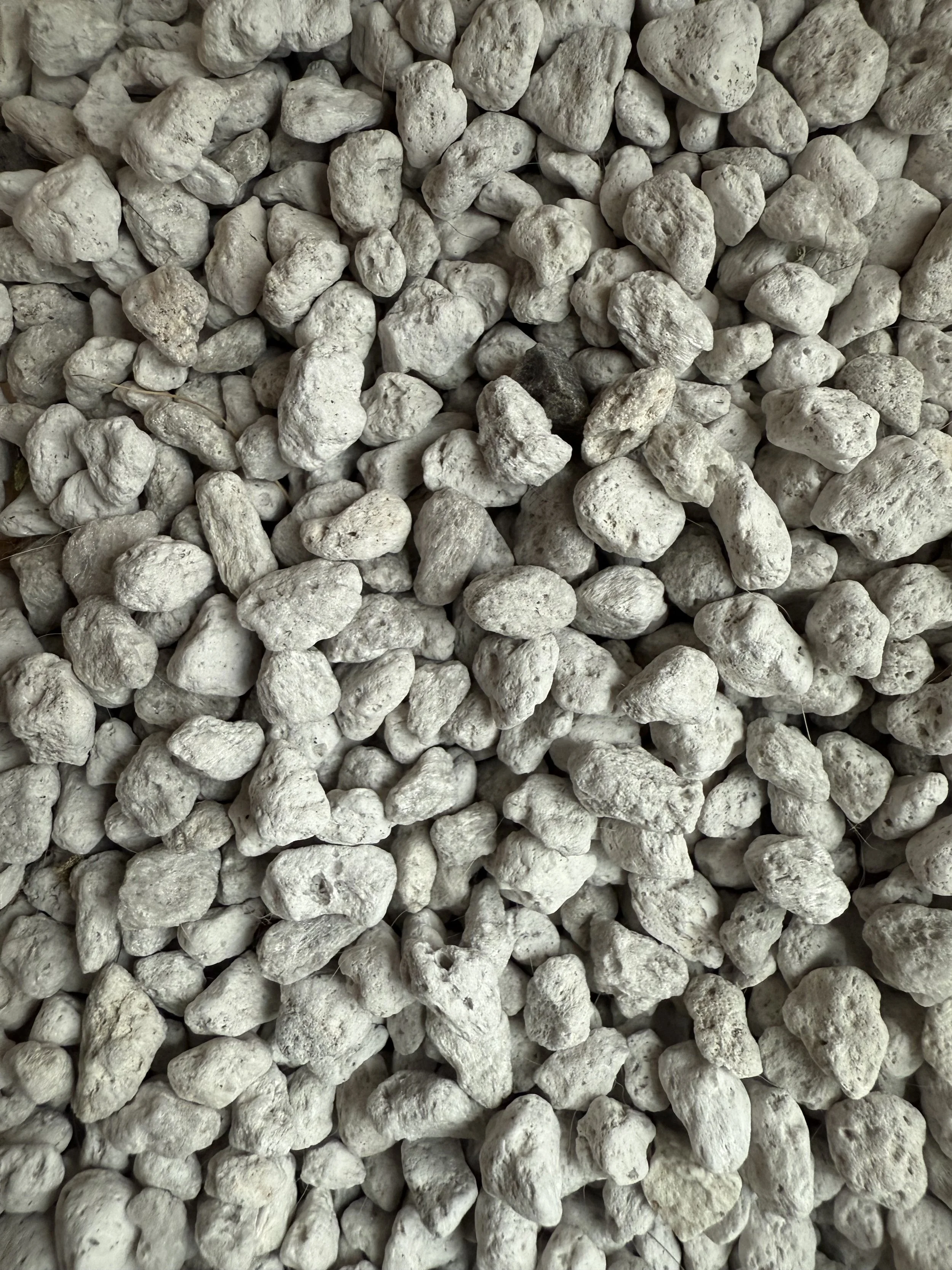 pumice.jpg