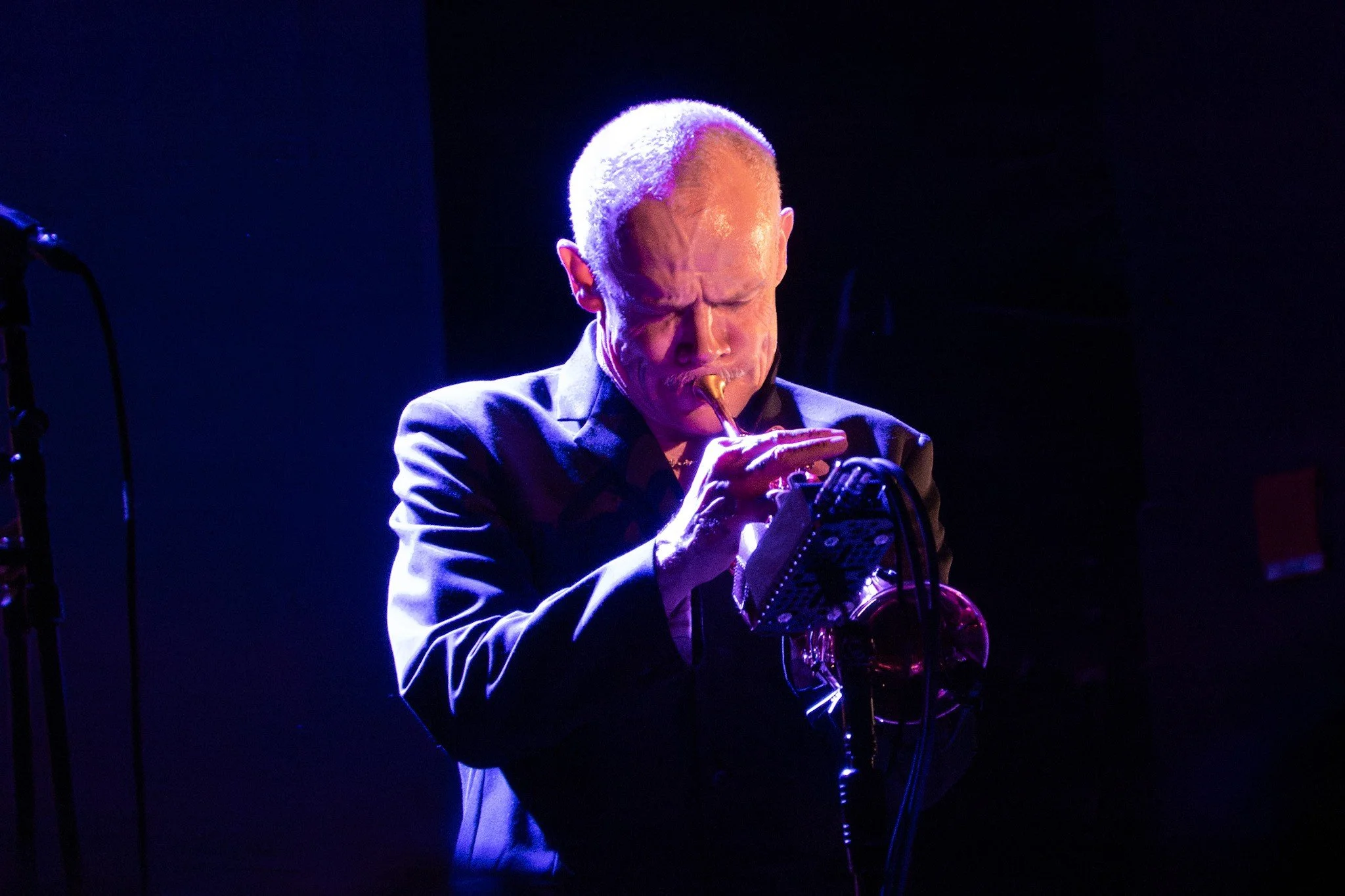 flea6.jpg