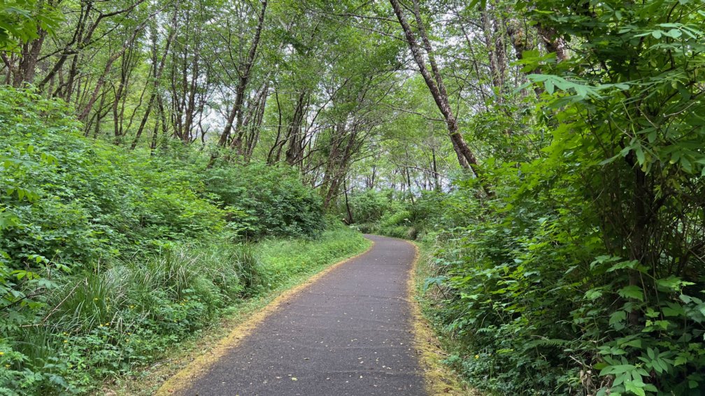 Manifesting Generator in Human Design: Living a Nonlinear Energy Experiment