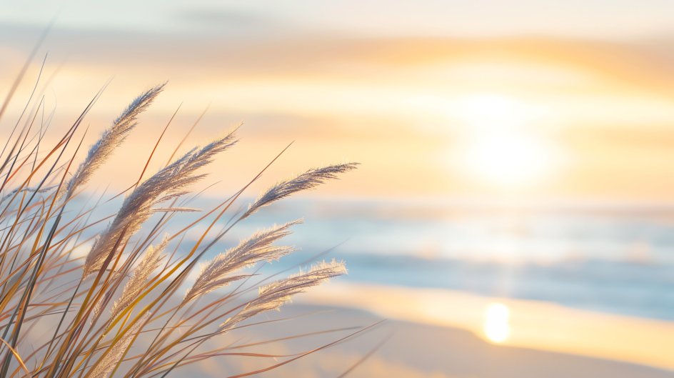 What Is Human Design and How Does It Actually Work?