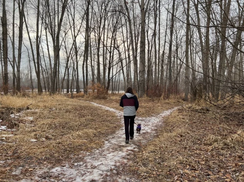 How the Human Design Types Work Together (And Why None of Us Are Meant to Do This Alone)