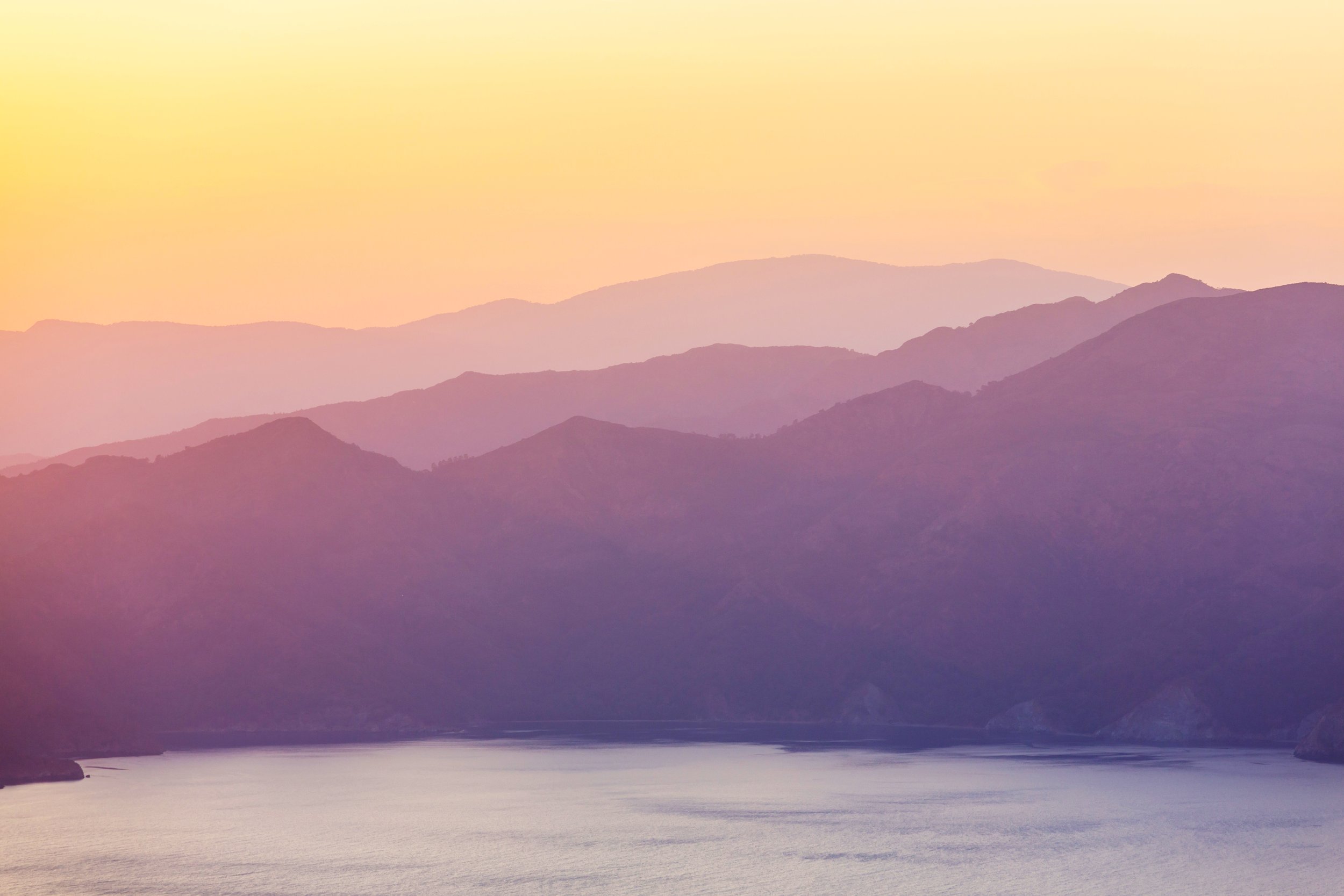 What is my Type and why does it matter?