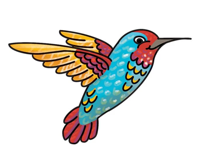 colibri-copia.jpg