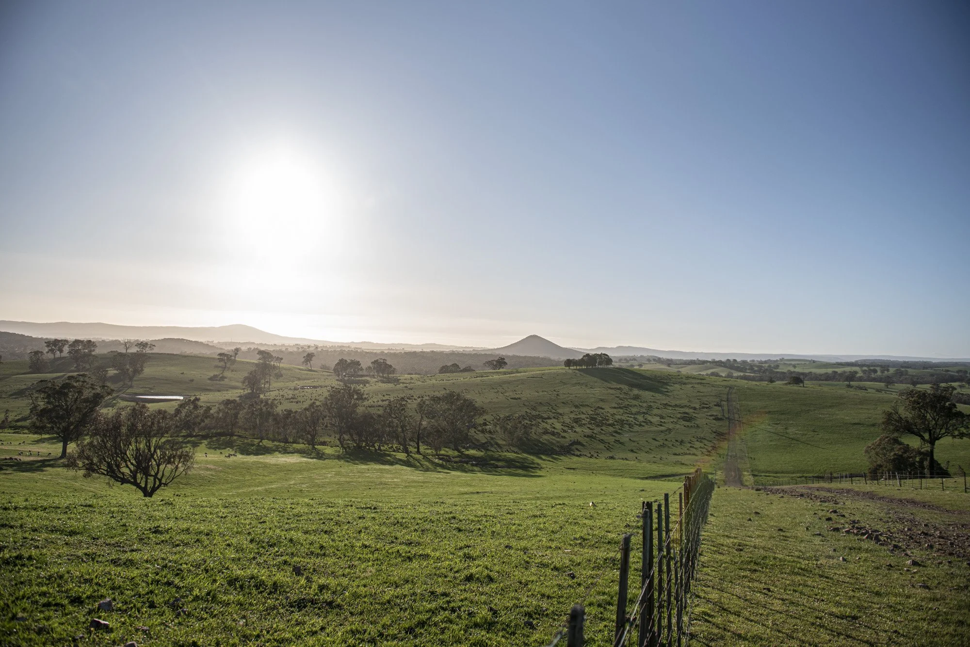 Glenaroua uu1.jpg