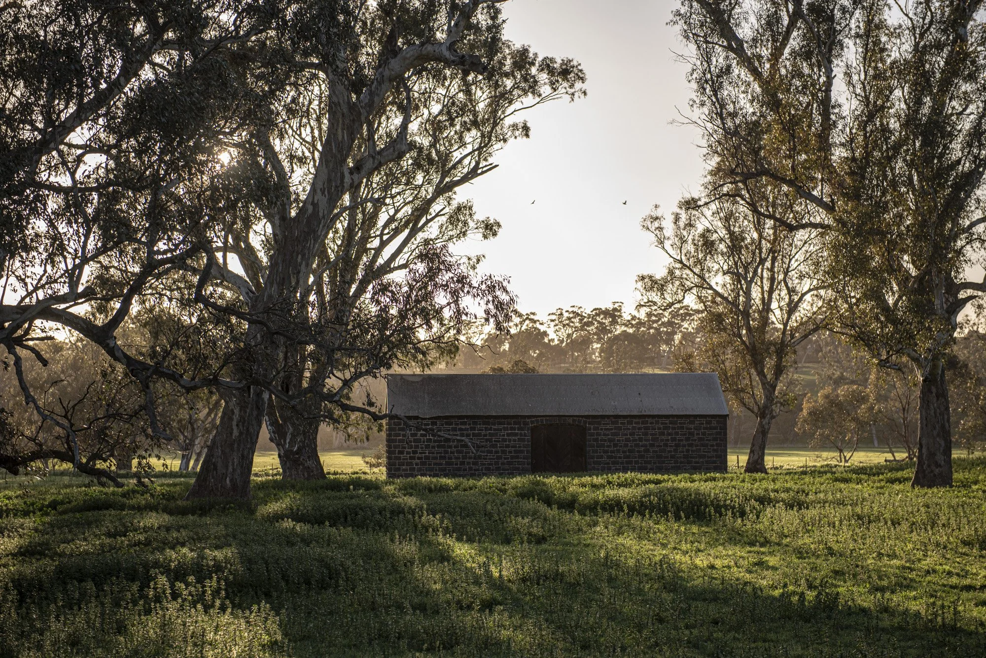 Glenaroua.jpg