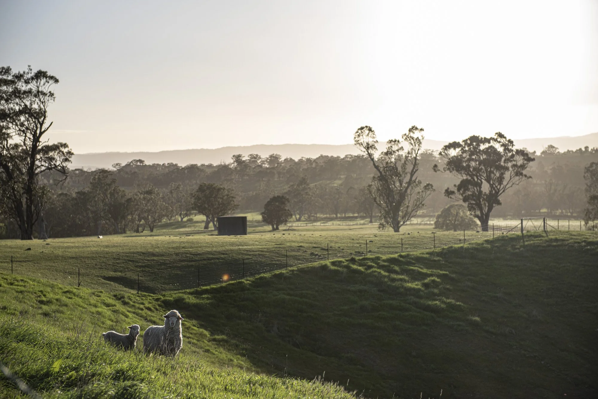 Glenaroua 1.jpg