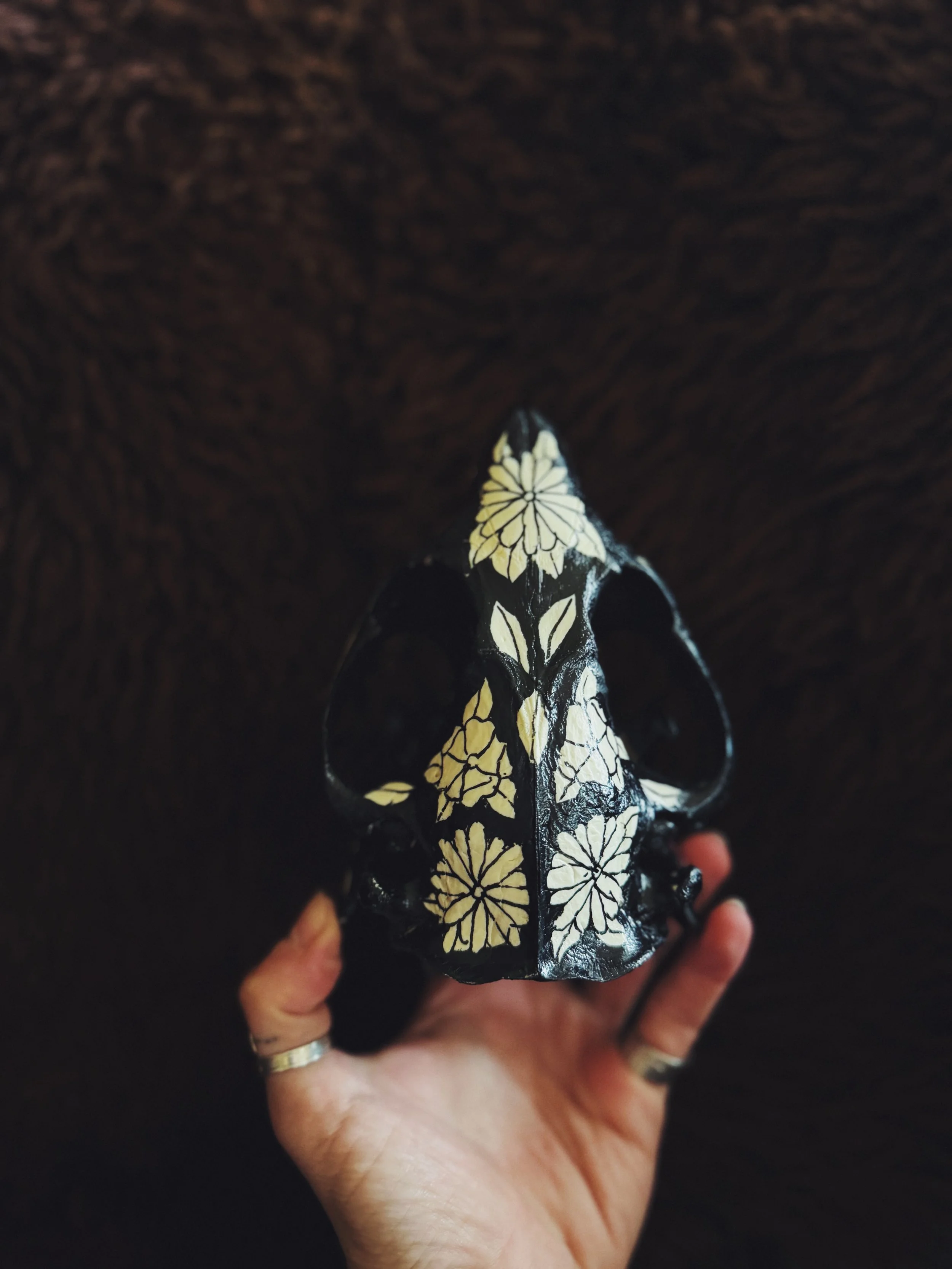 FullSizeRender_VSCO.jpeg