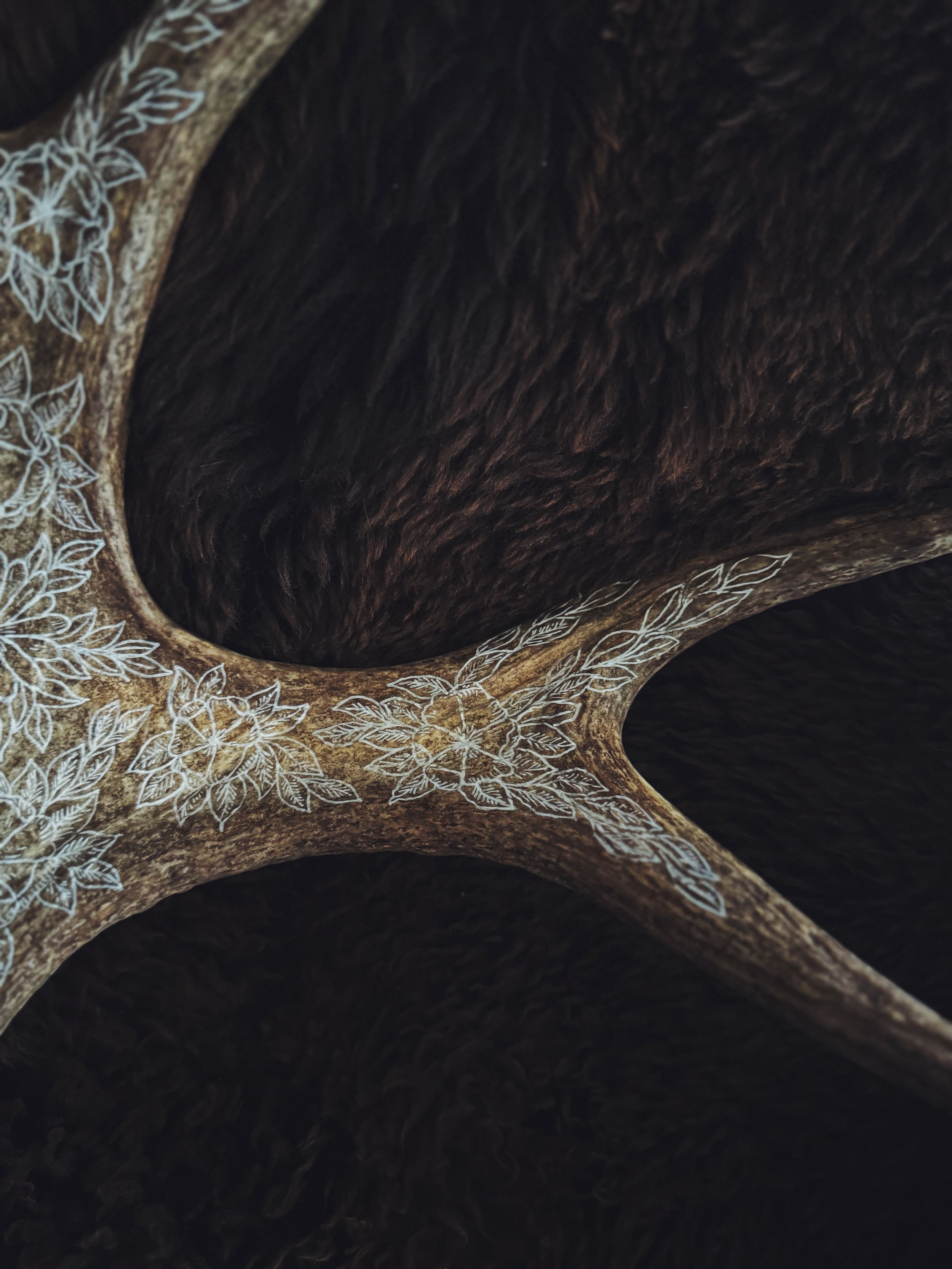 FullSizeRender_VSCO.jpeg