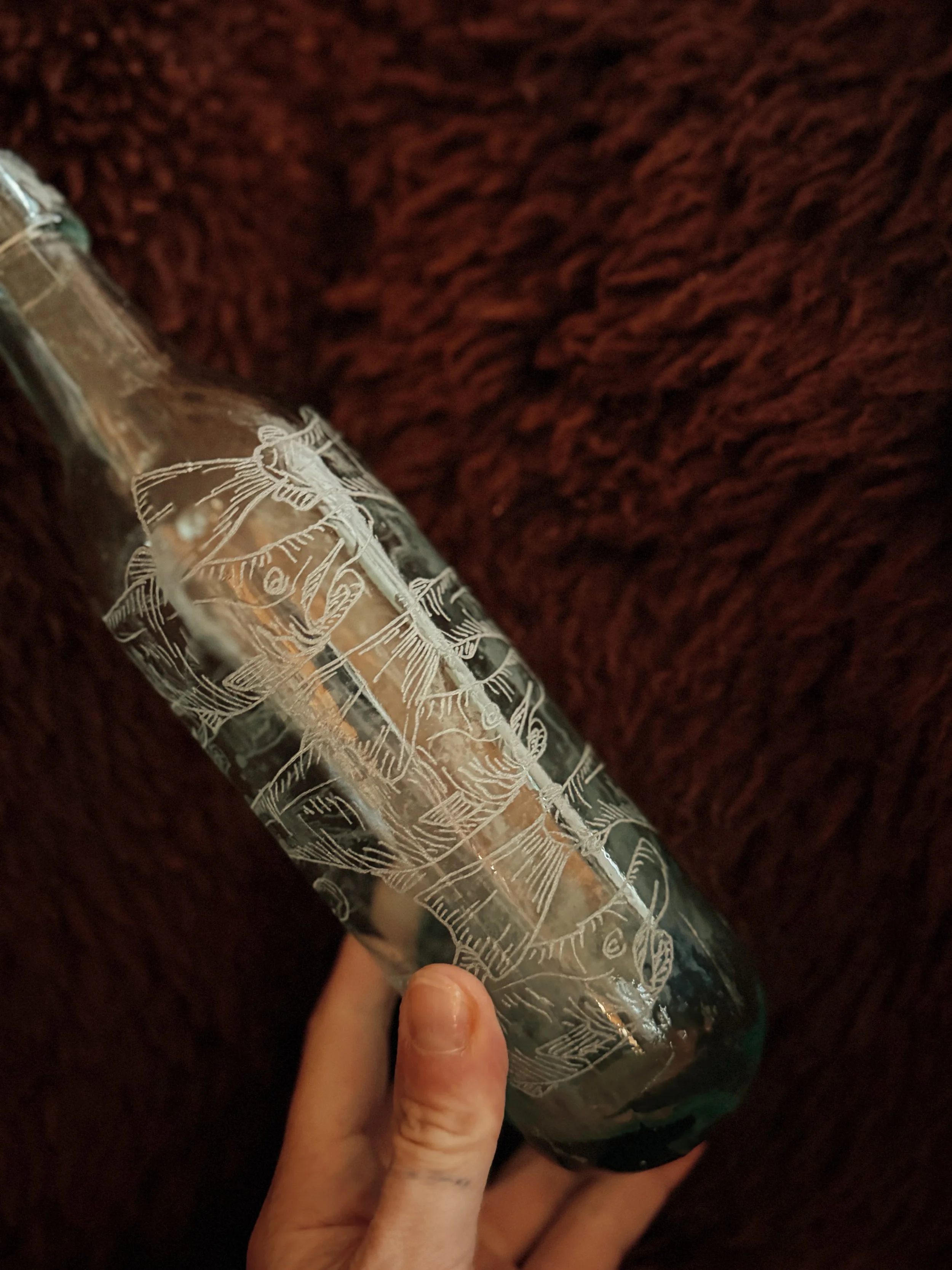 FullSizeRender_VSCO.jpeg