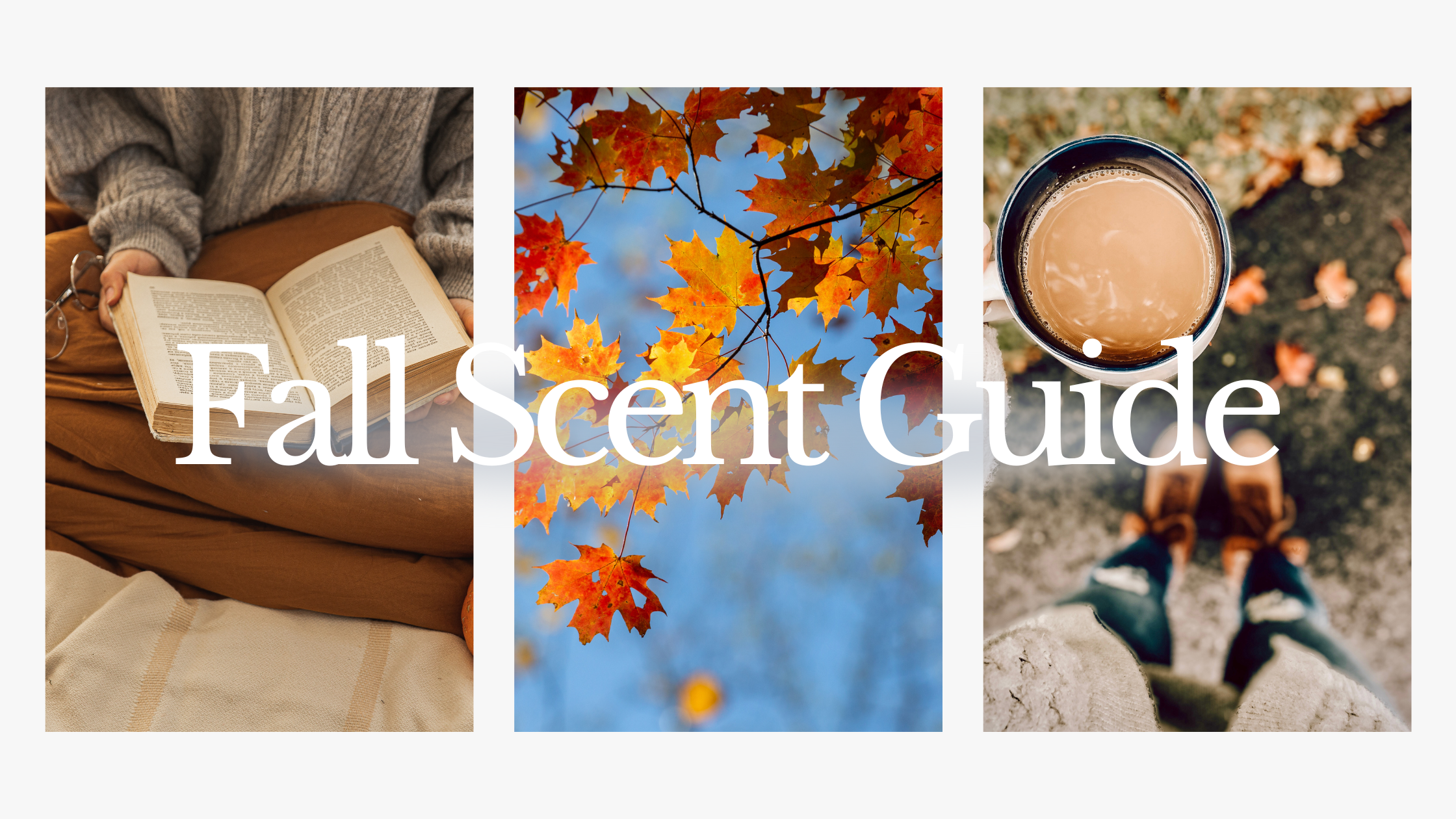 Fall Scent Guide