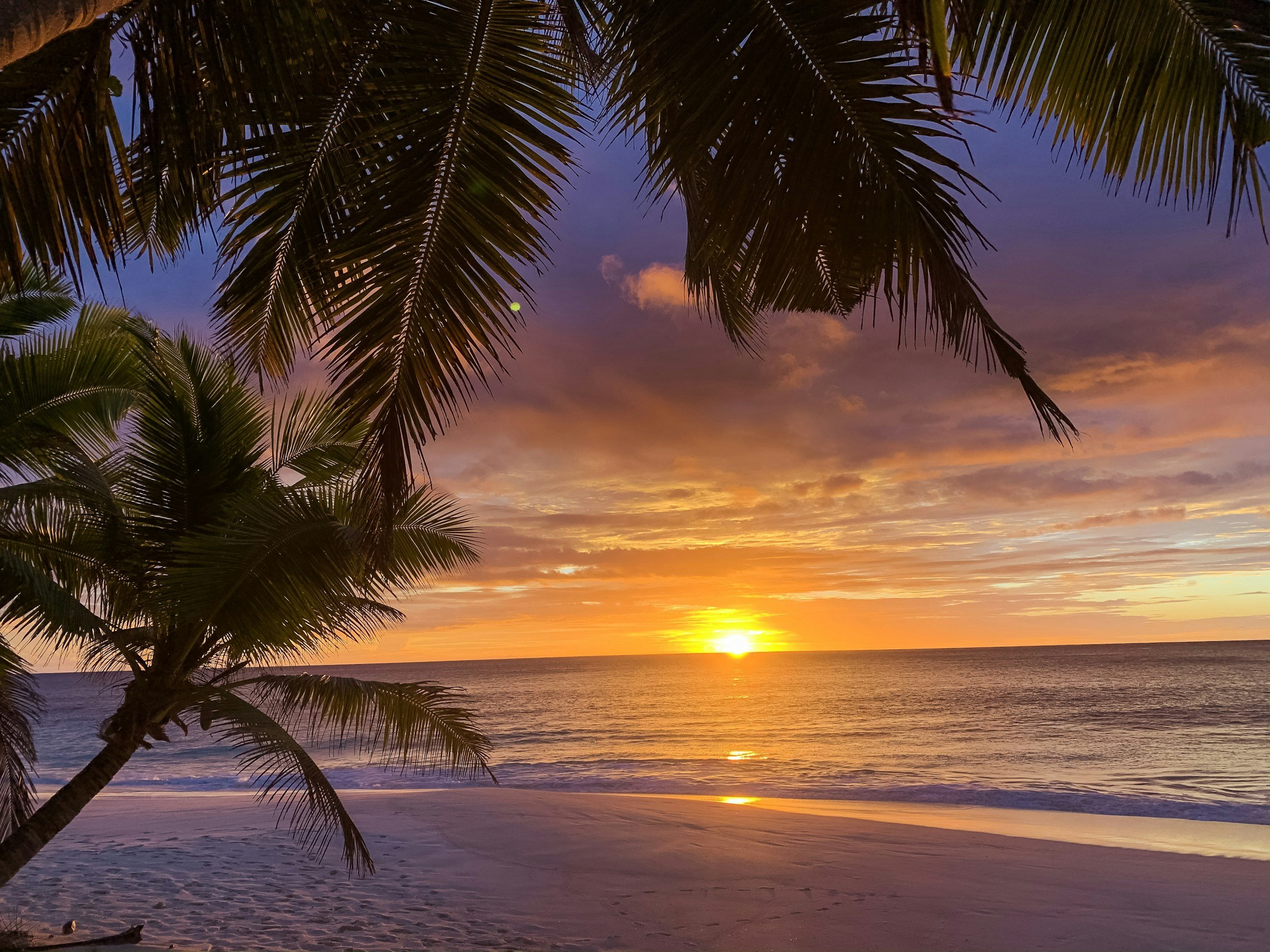 Vacation Scents: How Fragrance Becomes Part of Your Travel Memories