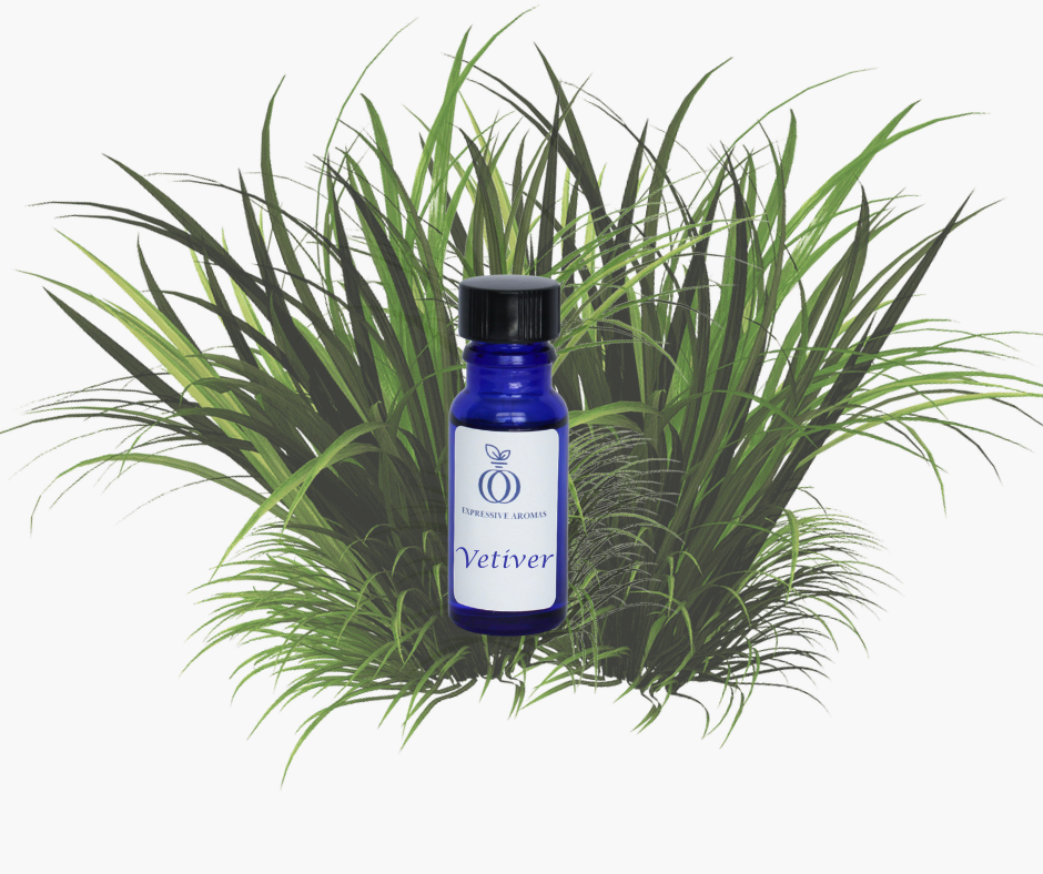 A dark blue bottle of Vetivar essential oil from Expressive Aromas placed in front of a clump of green Vetiver grass.