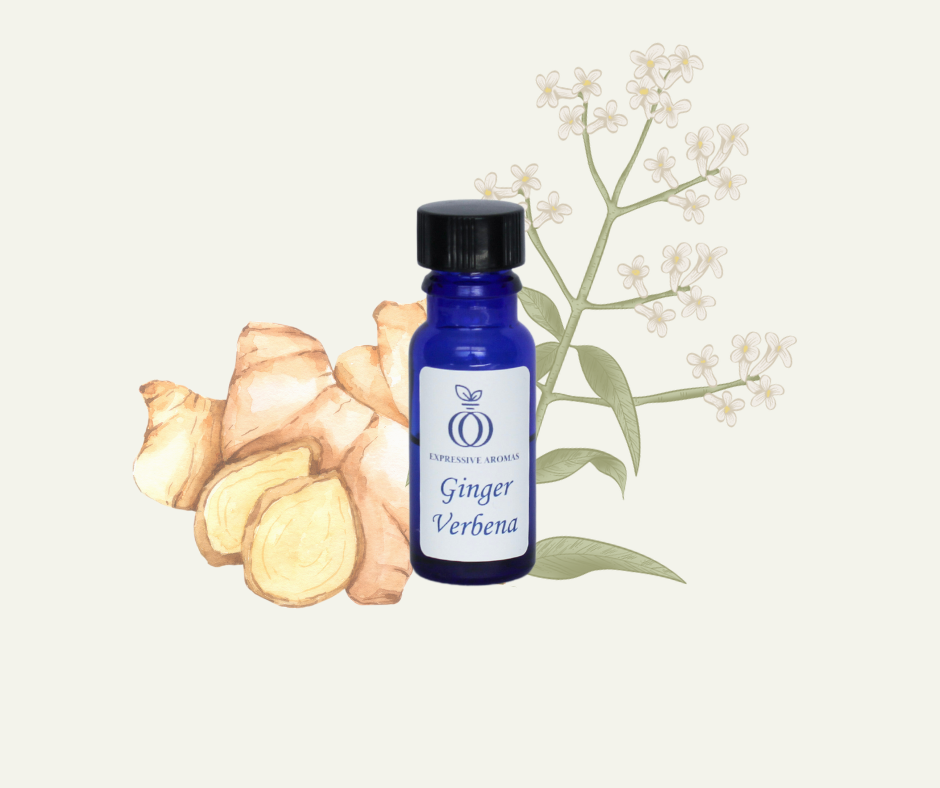 Blue bottle of ginger essential oil labeled "Ginger Verbena" with ginger root and verbena plant illustration in the background.