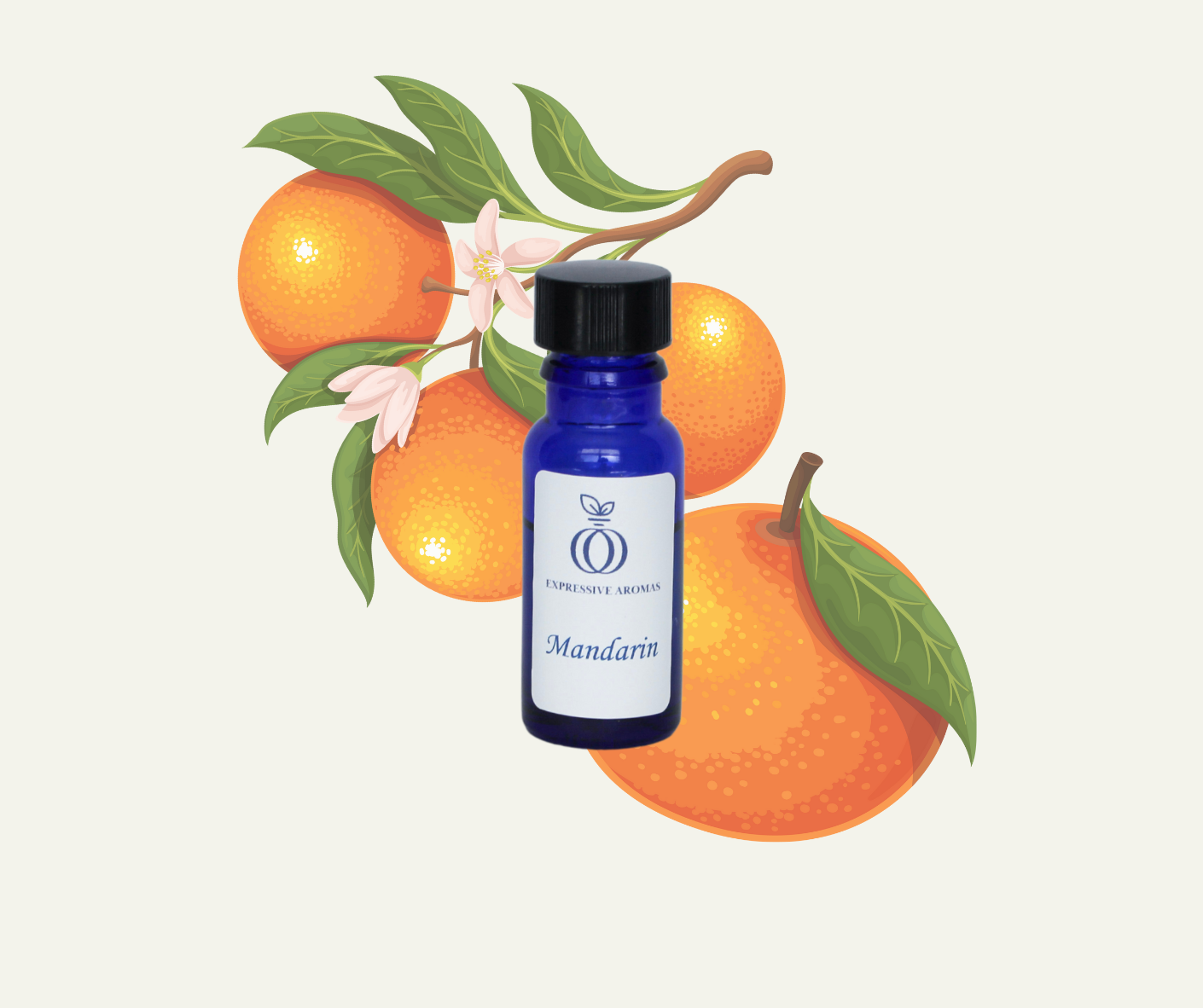 A small blue bottle labeled 'Mandarin' from expressive aromas, placed in front of illustrated mandarin oranges with green leaves and pink flowers.