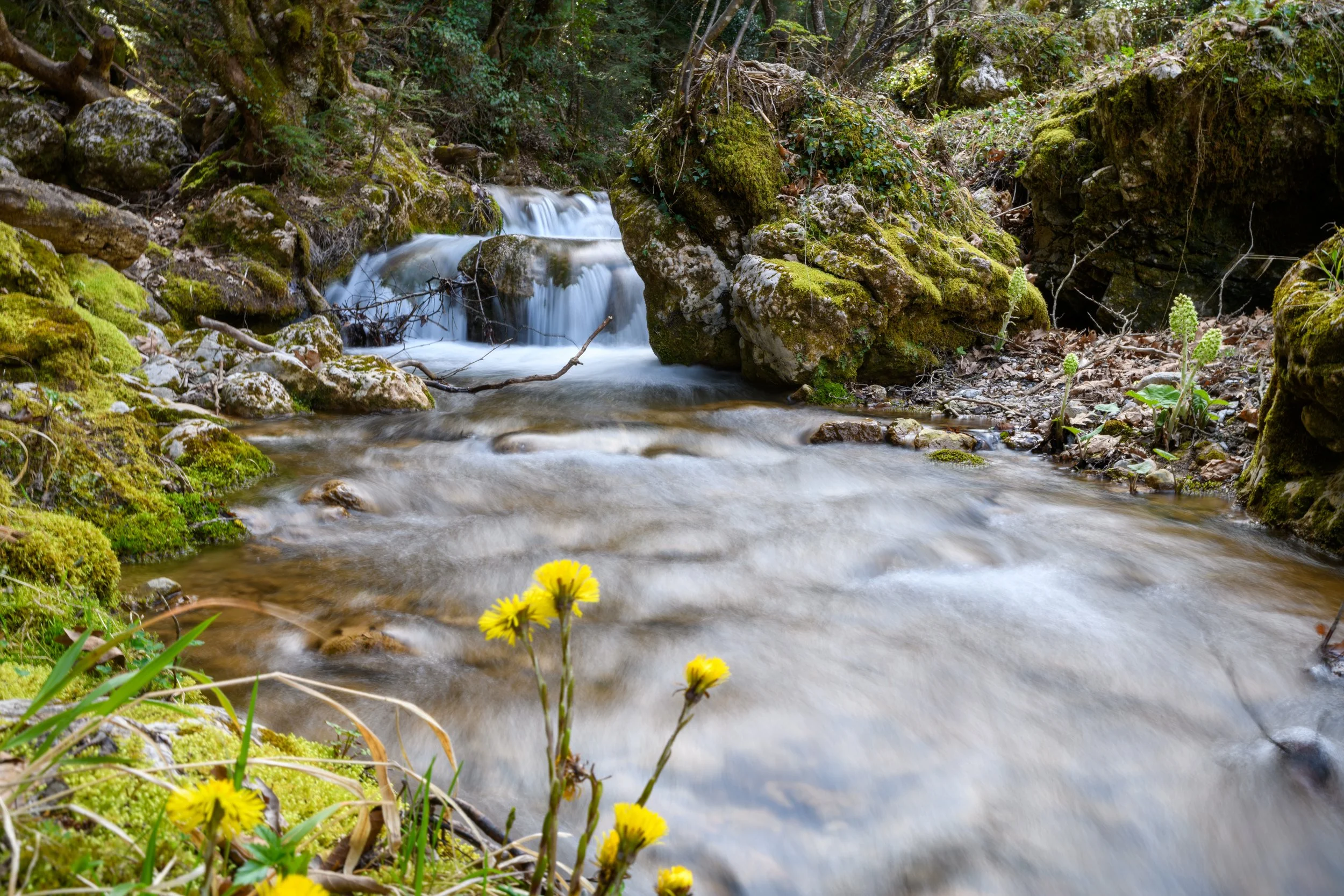 Landscape photography of Pavliani Parkaki forest stream with small waterfall, mossy rocks and flowing freshwater in Greece