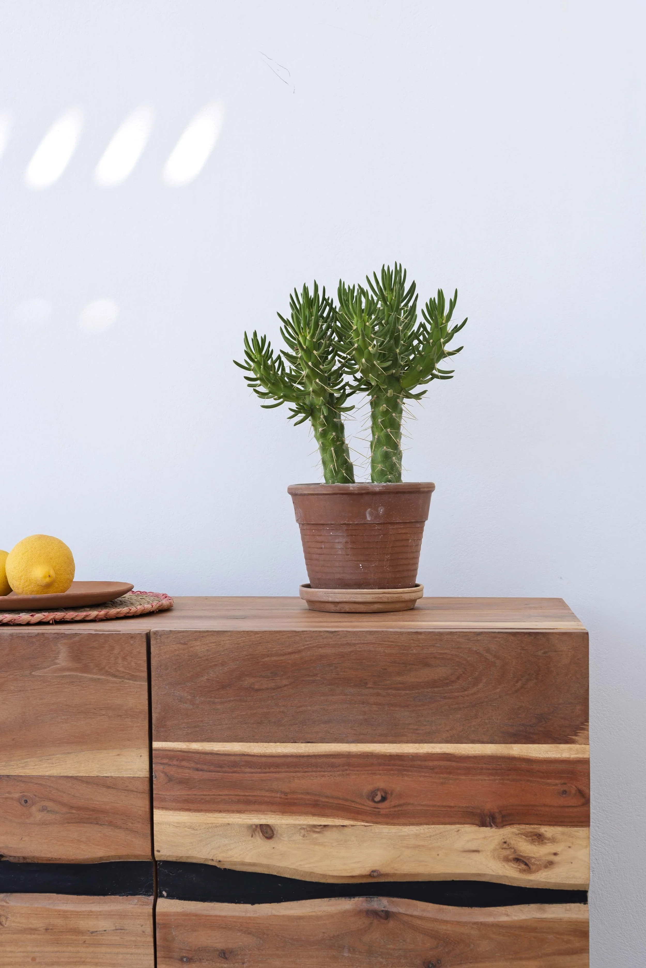 Close-up of a wooden sideboard with potted cactus and lemons against a white wall in a Kastraki, Naxos villa – professional real estate detail photography.