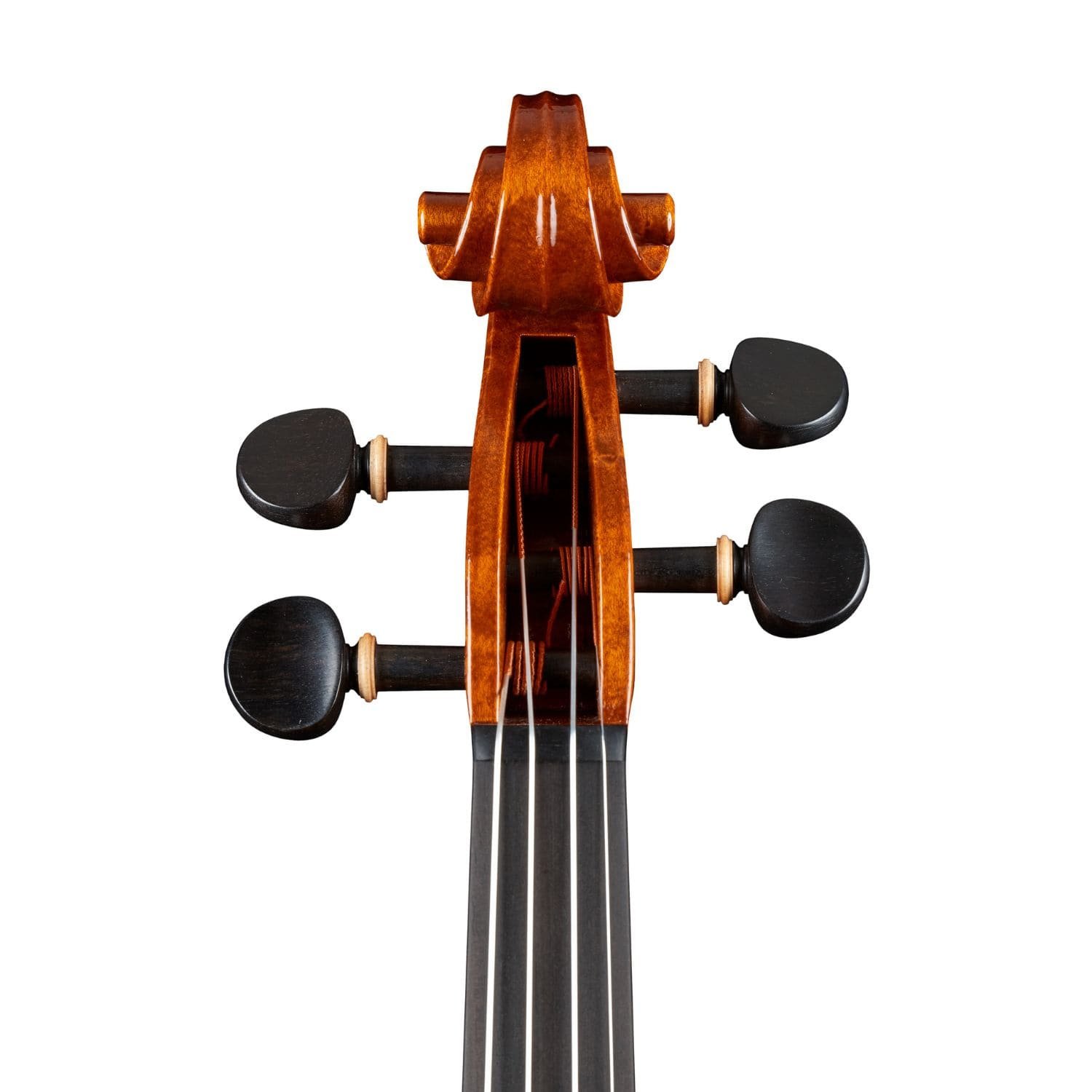 parma violins.jpg