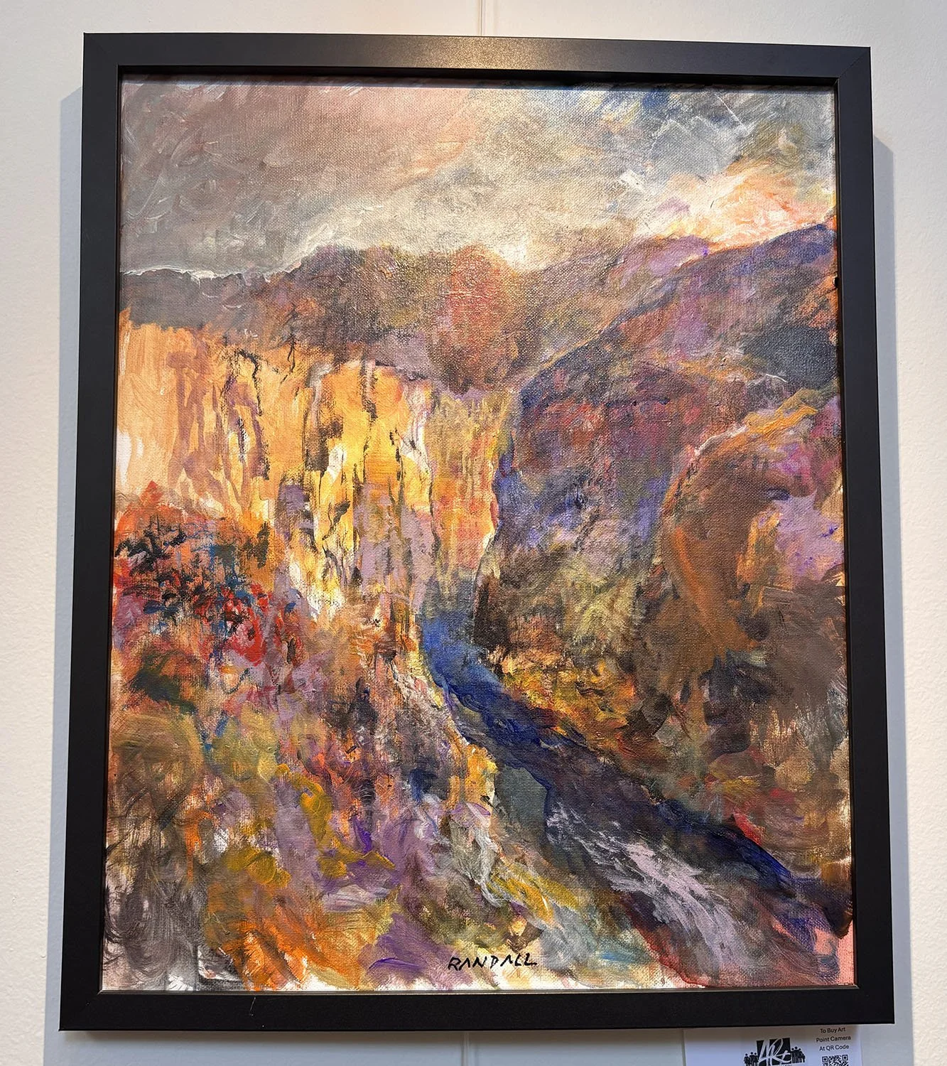 "The Canyon" by Doug Randall. Acrylic on canvas.  16” x 20”.  $500.
