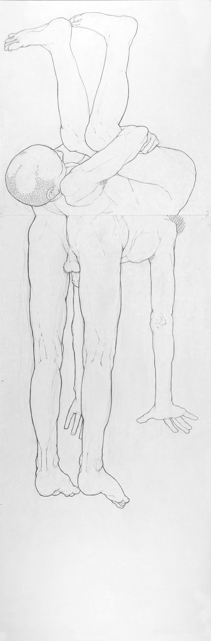 Bivalves #4 (2011), pencil on two sheets of paper, 54 x 18 inches
