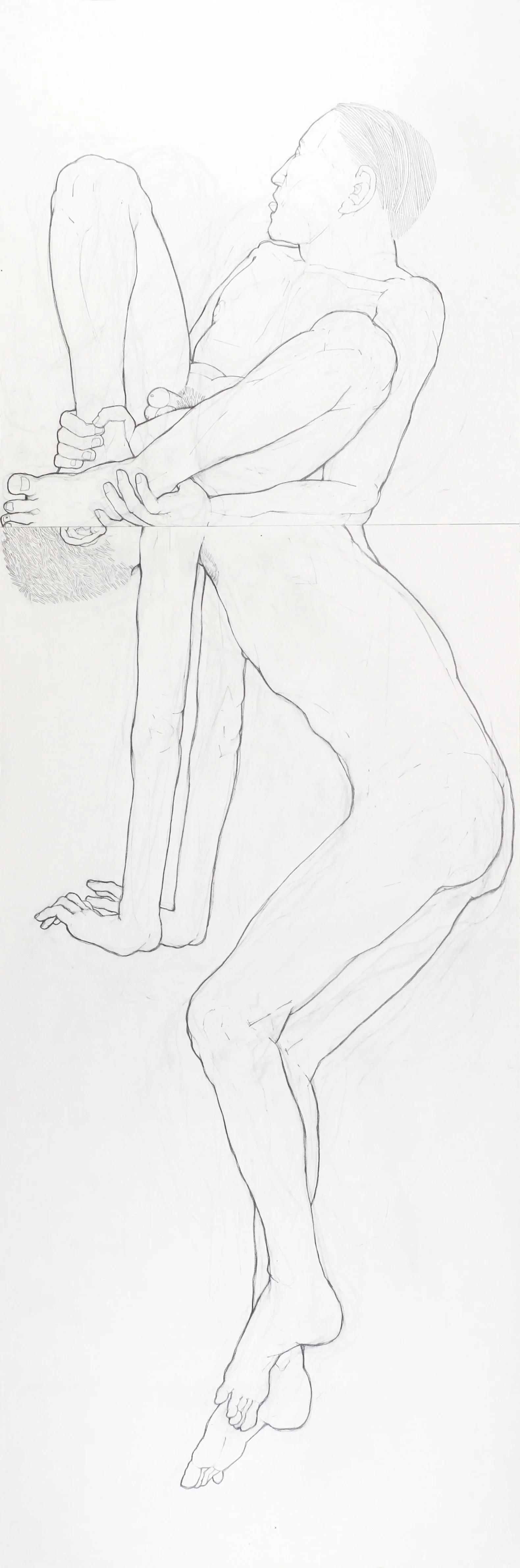 Bivalves #2 (2011), pencil on two sheets of paper, 54 x 18 inches