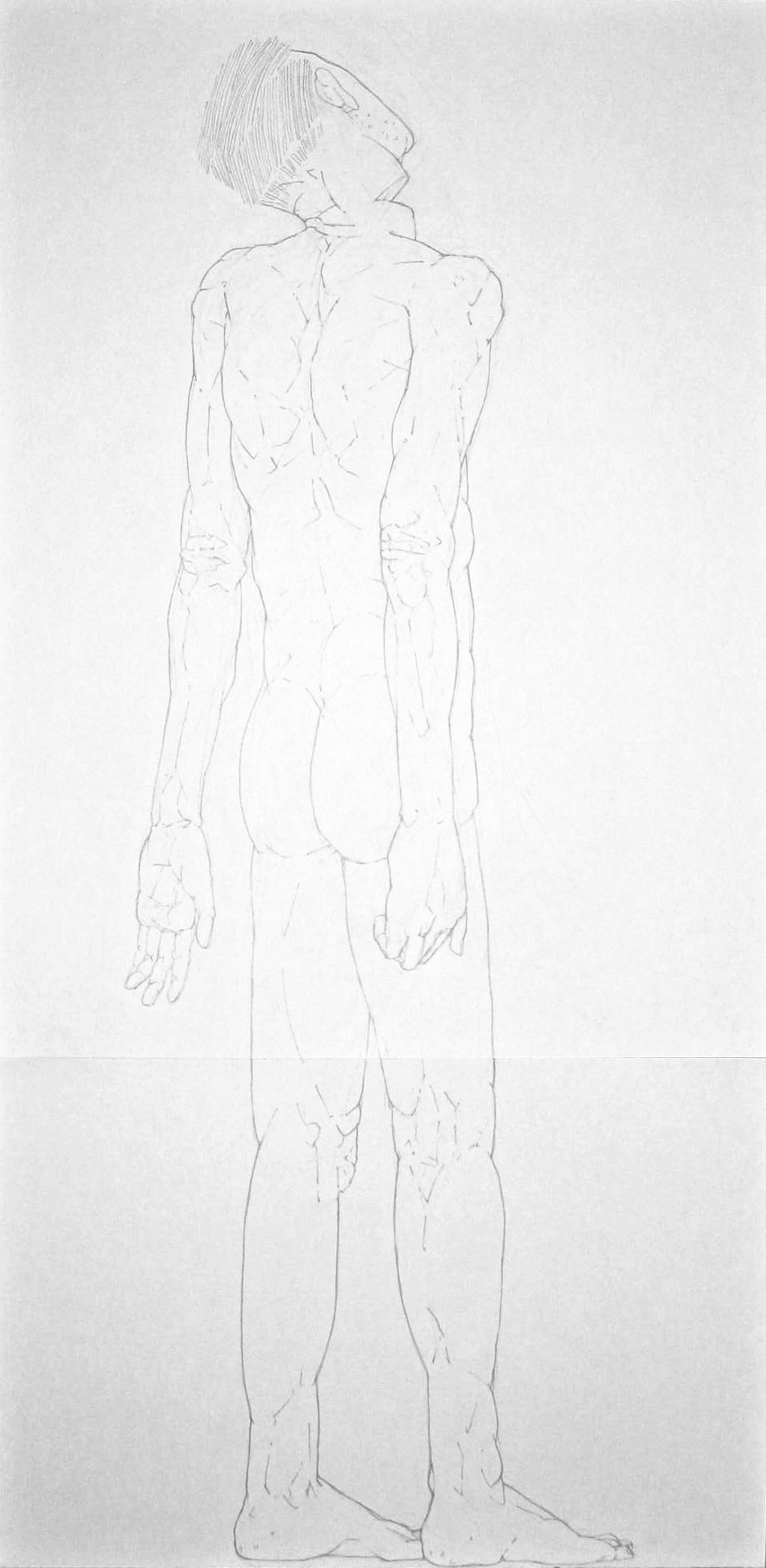 Facing Giacometti #2 (2012), graphite and pencil on two sheets of paper, 36 1/2 x 18 inches