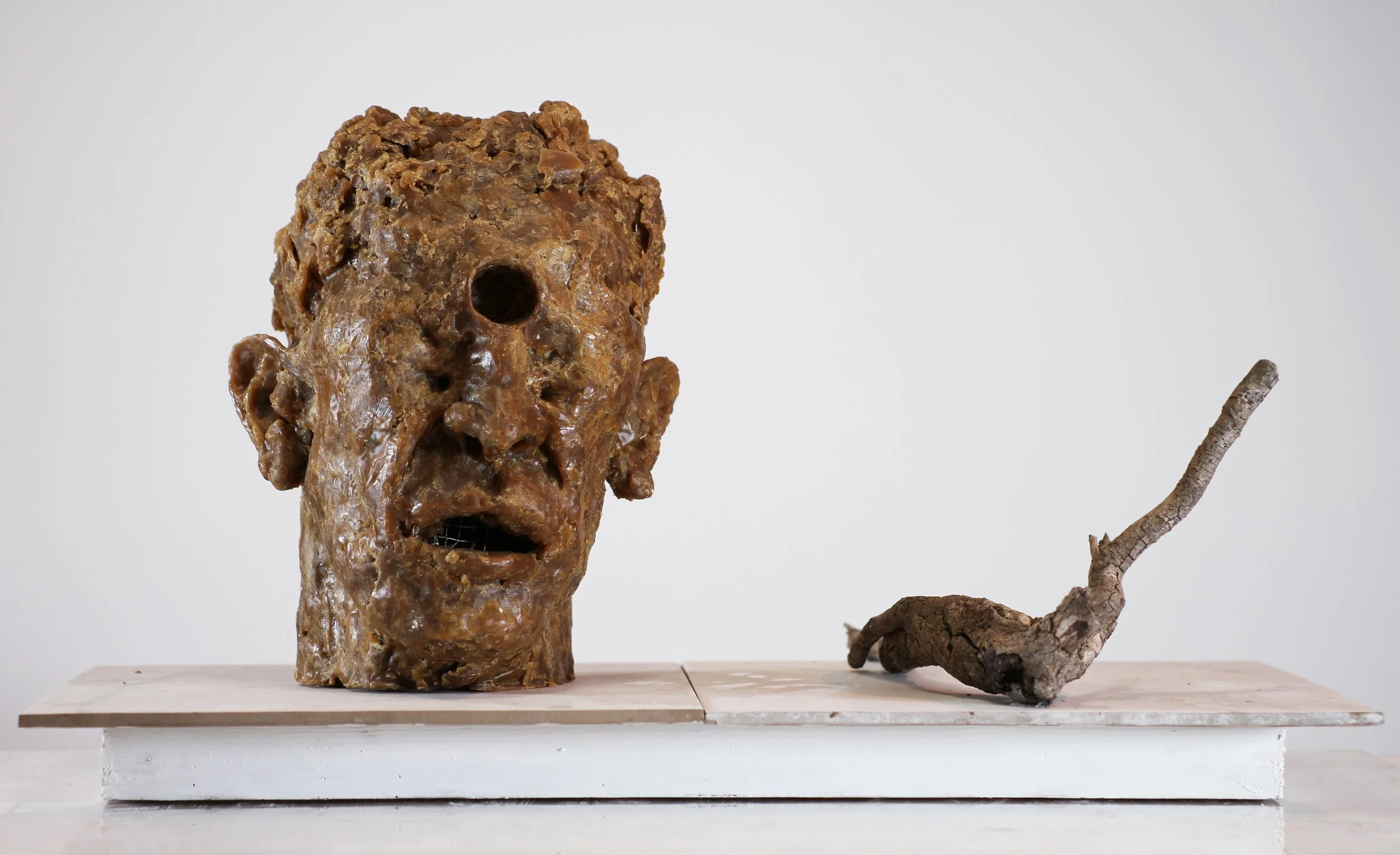 Head, Root (2023), microcrystalline wax, found tree branch, ceramic and painted wood base, 12 1/2 x 23 1/2 x 11 inches