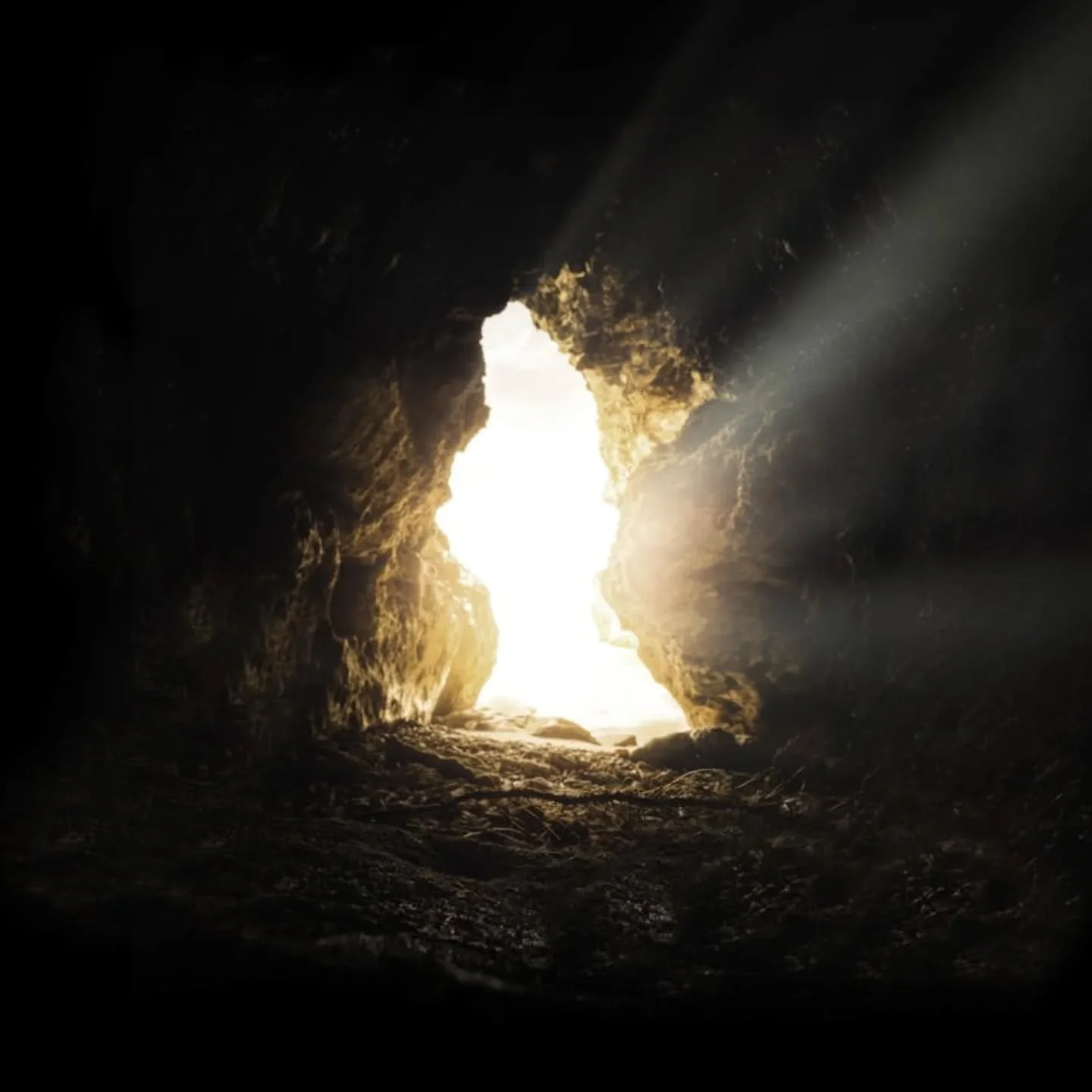 🌅 He is Risen! 🌅 

Happy Resurrection Sunday, City Life family! 

Today we celebrate the greatest victory in history &mdash; Jesus conquered the grave, defeated death, and brought us hope that lasts forever! 💪❤️ 

Whether you&rsquo;ve been walking