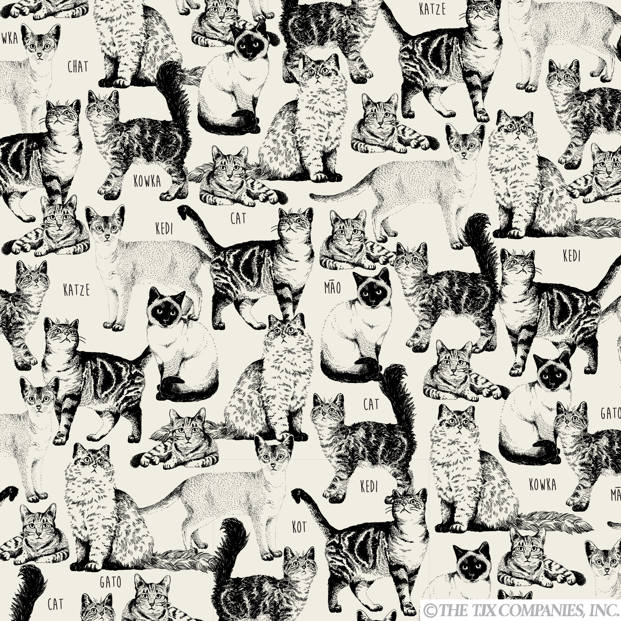 Artboard 9 copy.webp