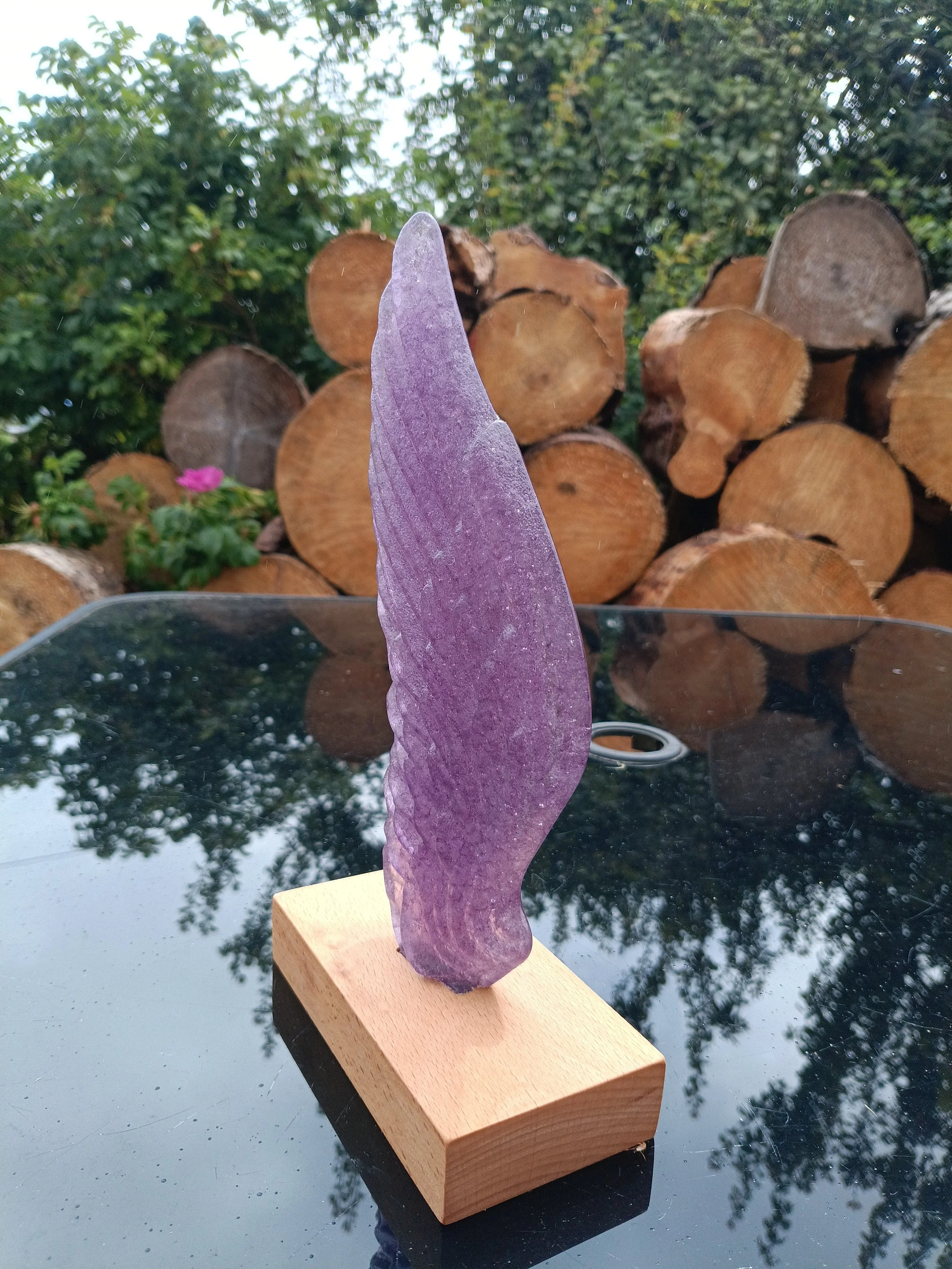 glass angel wing coral orange tint.jpg