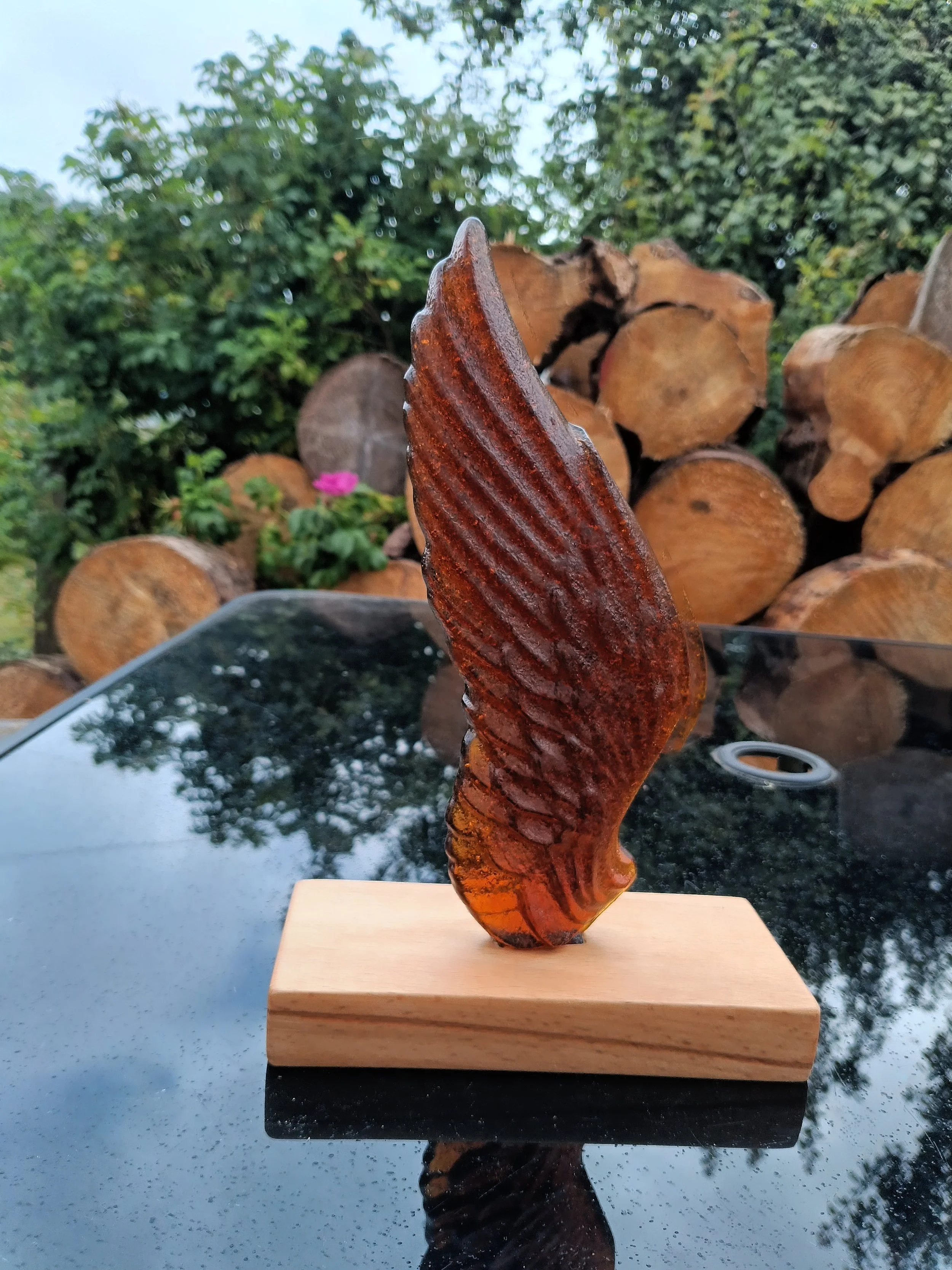 Angel wing Medium Amber