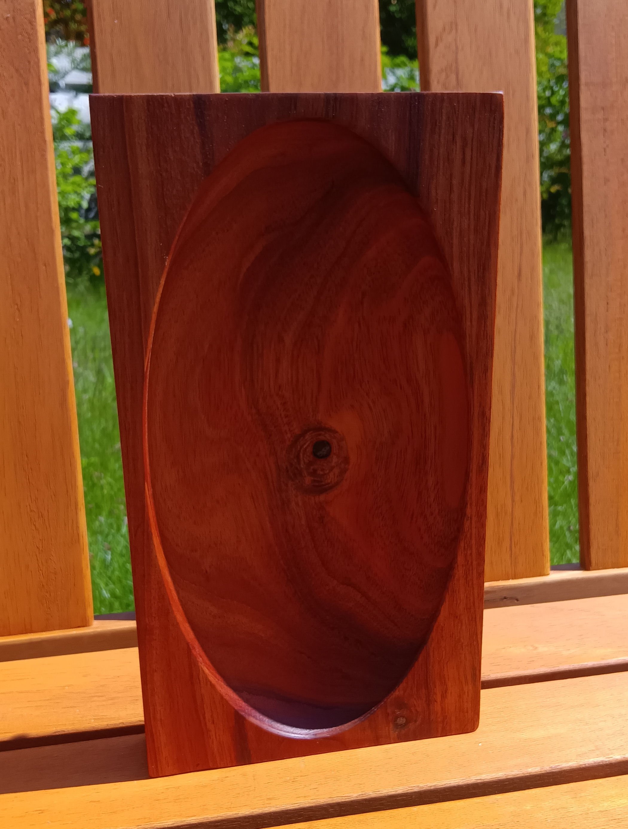 Elm wood Isle of Arran.jpg