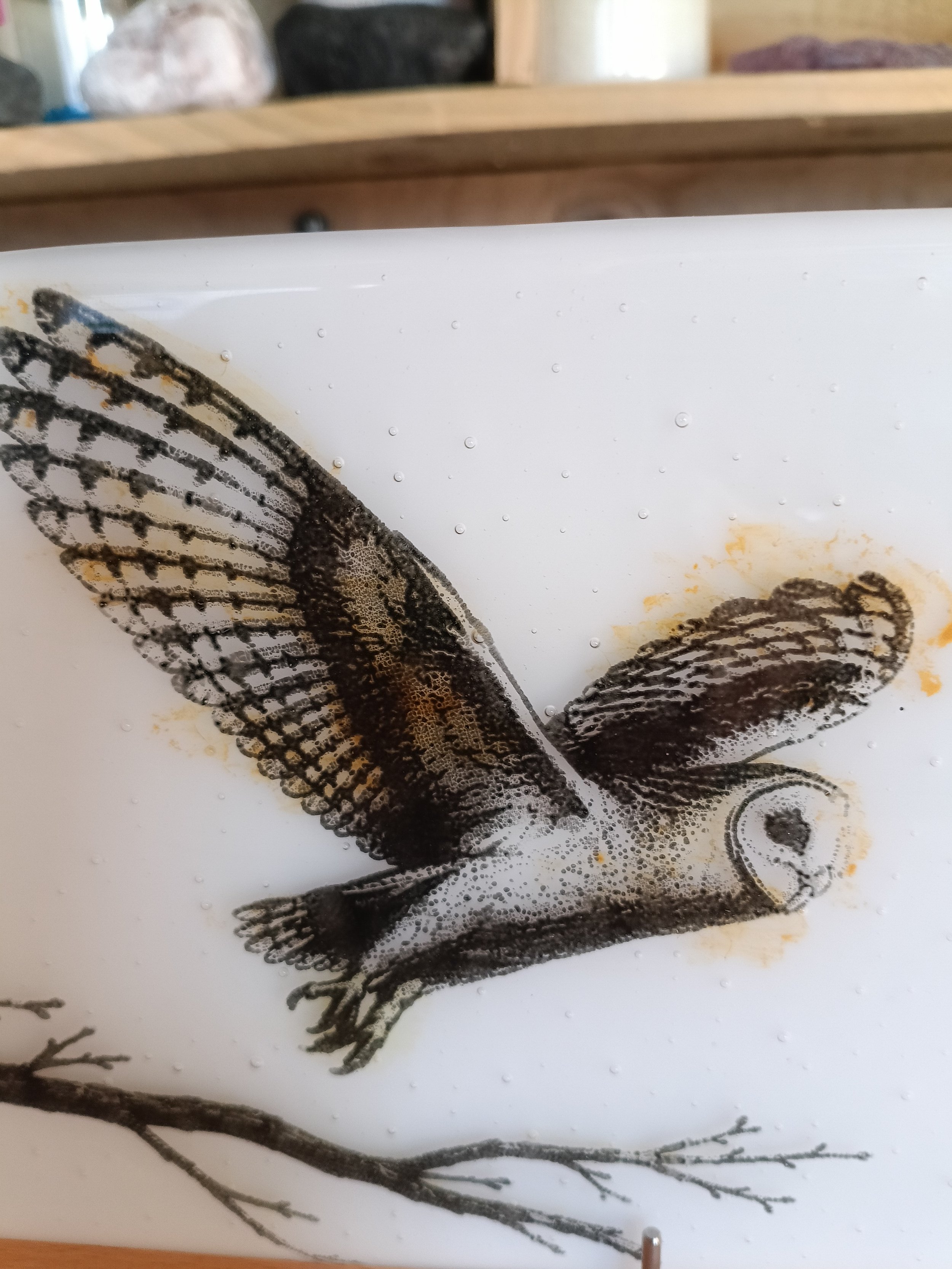 Bran Owl.jpg