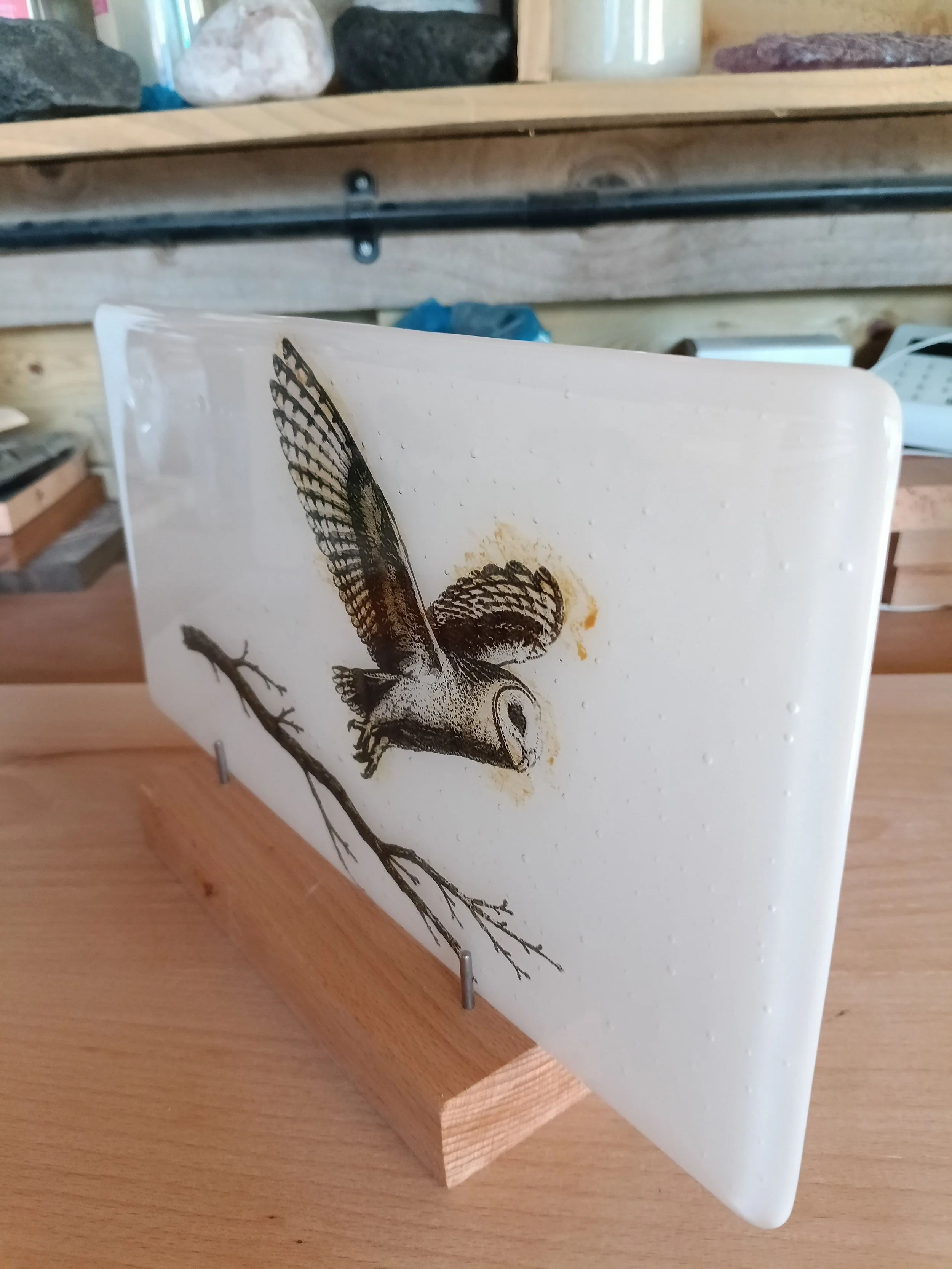 Fused Glass Barn Owl.jpg