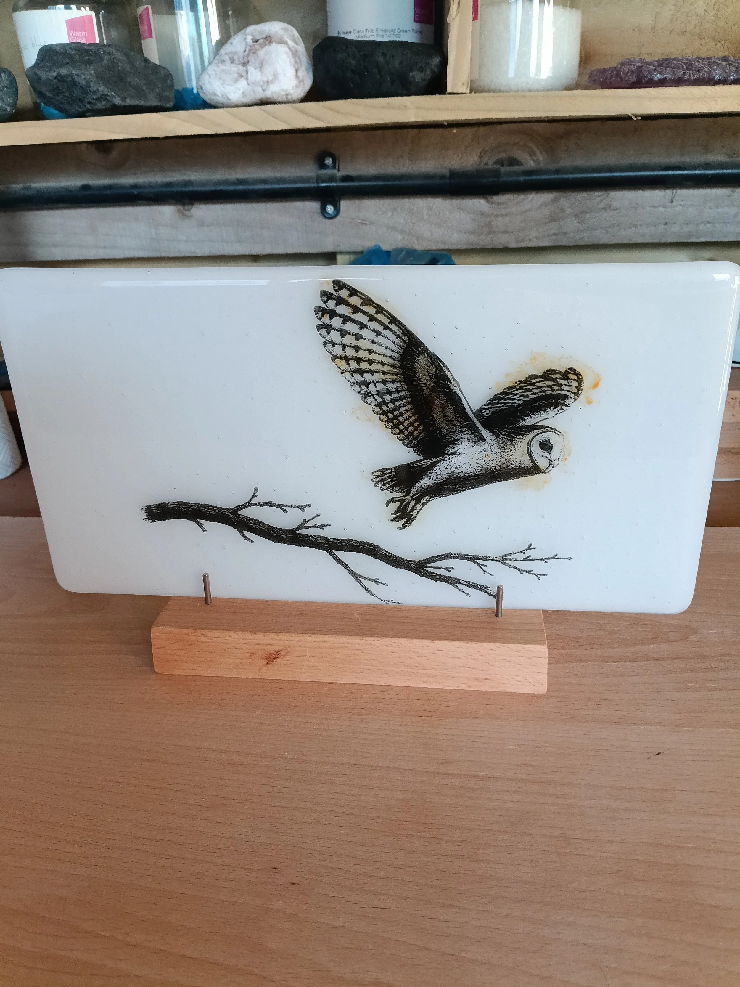 Barn owl fused glass.jpg