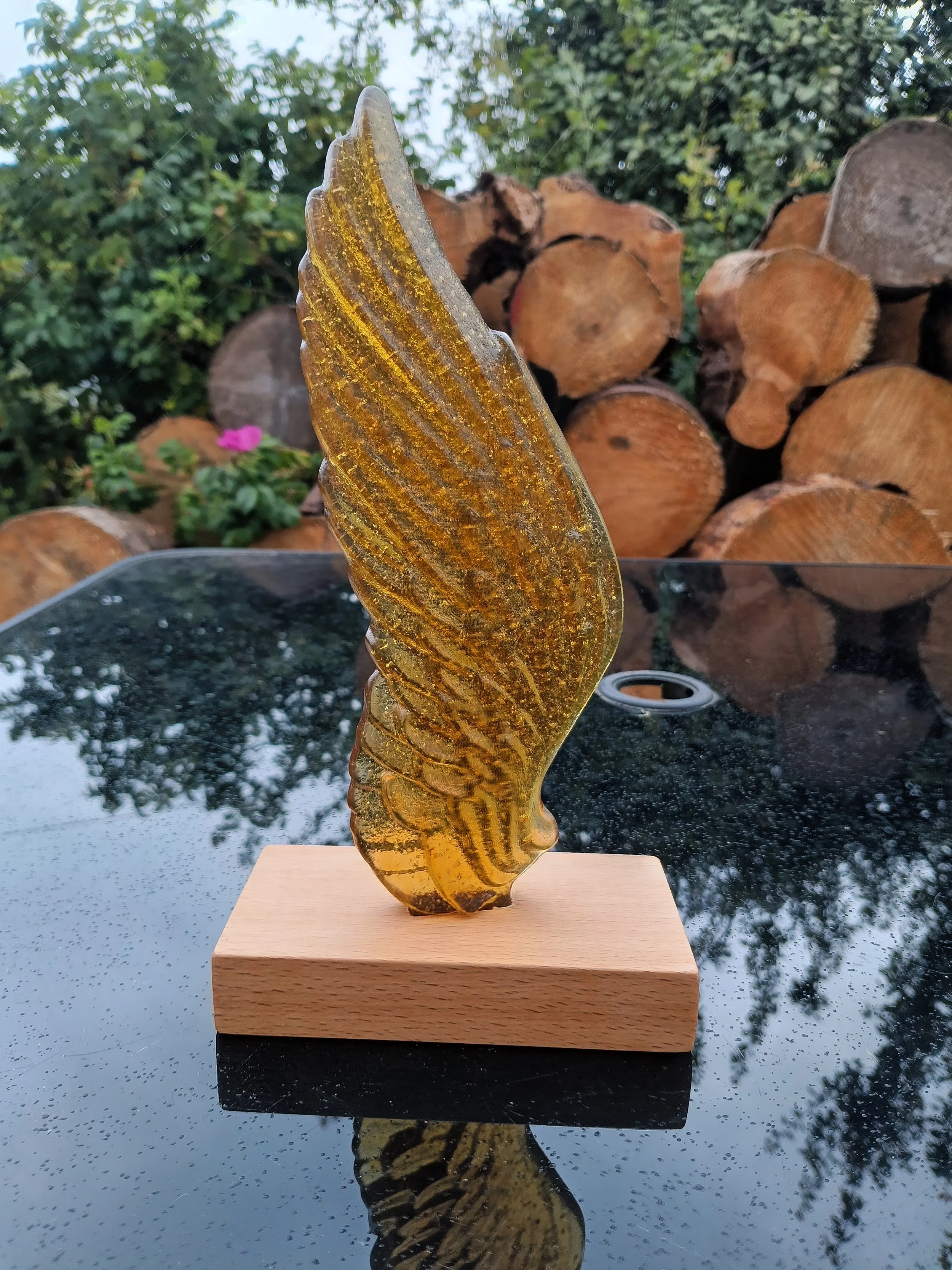angel wing amber 1.jpg