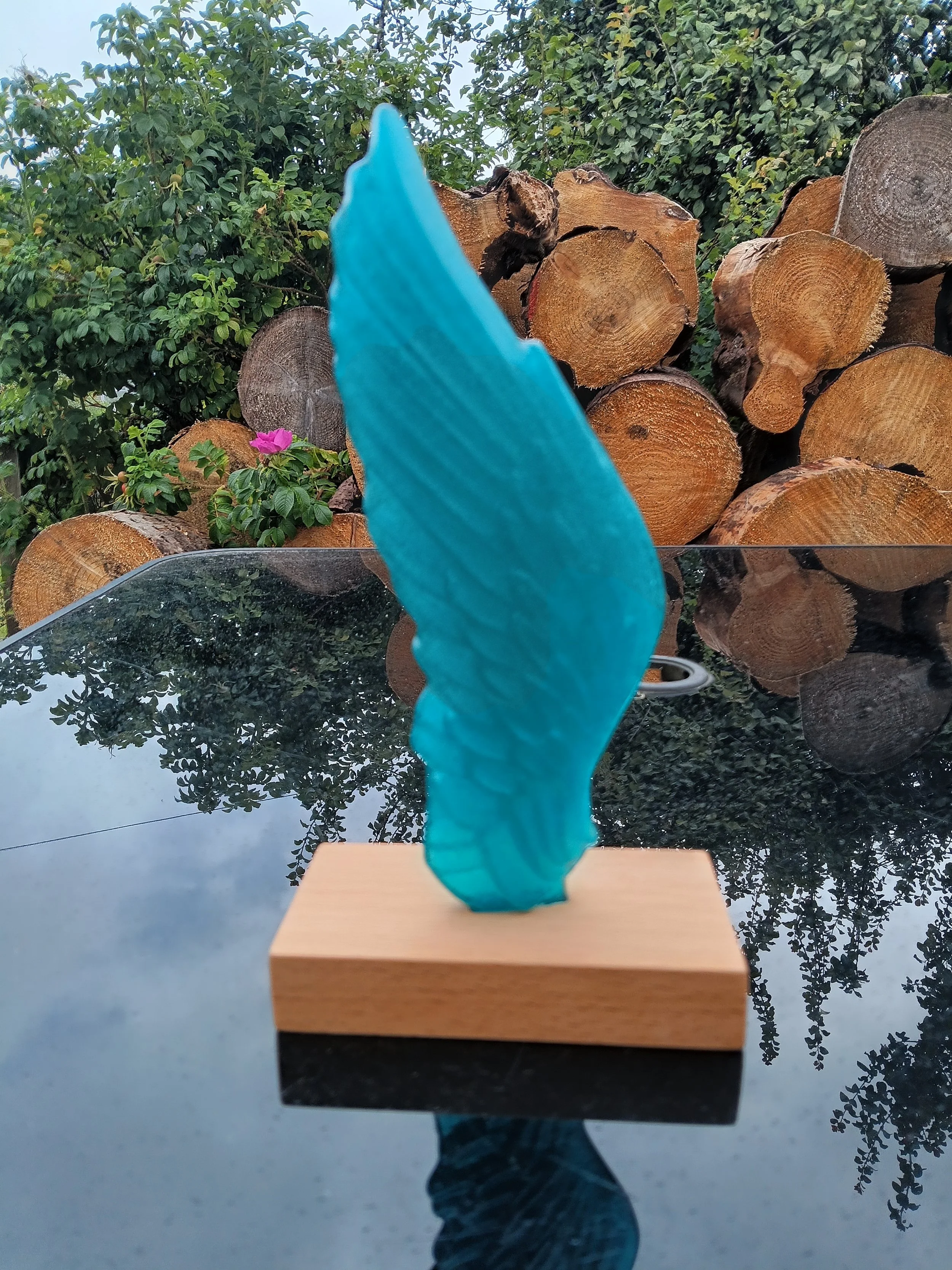 angel wing aqua.jpg