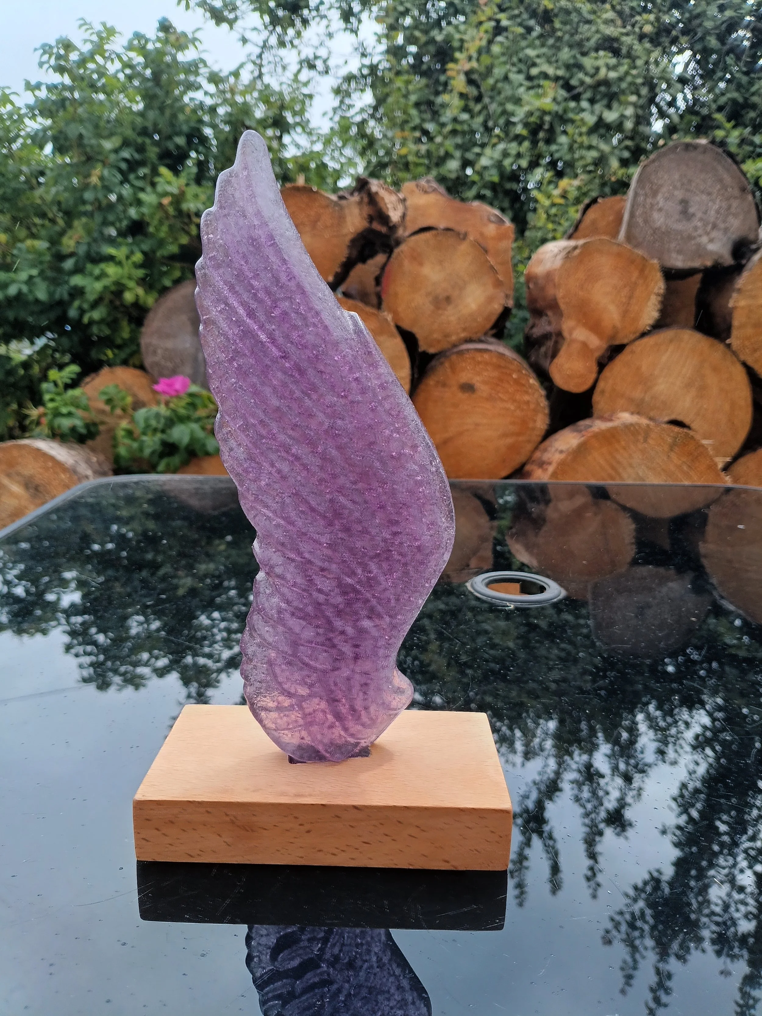 angel wing