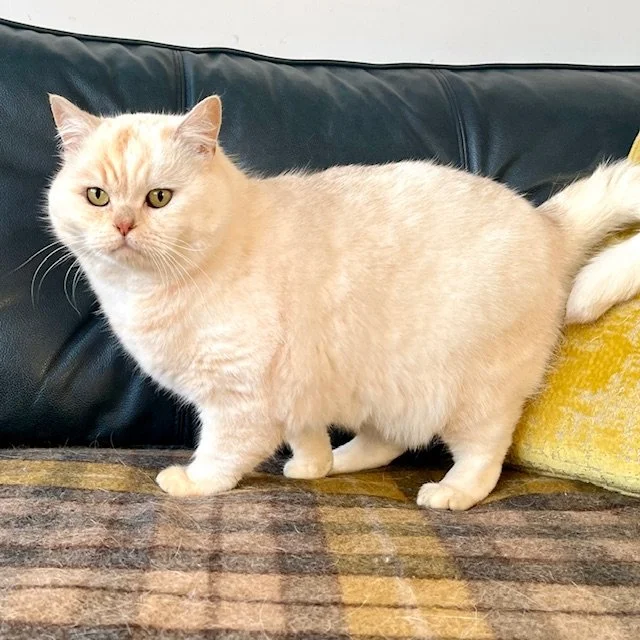IMG_4216.jpg