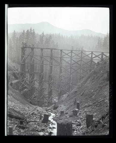 Trestle Bridge.jpg