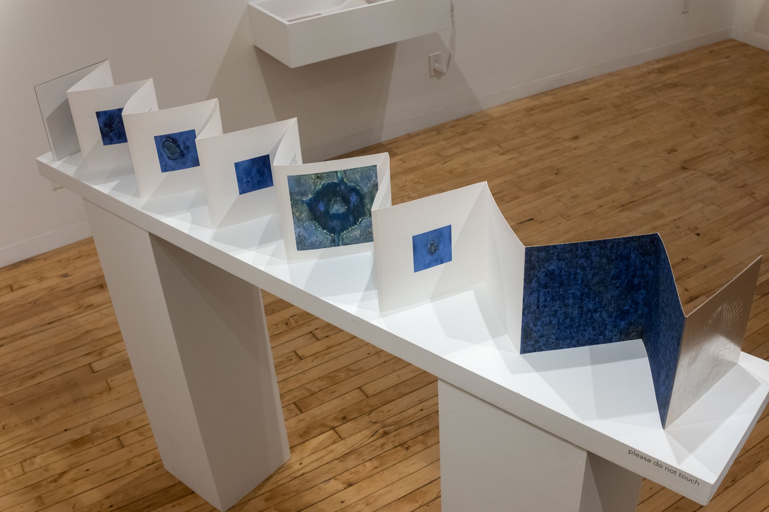 Copy of _DSF9598.jpg