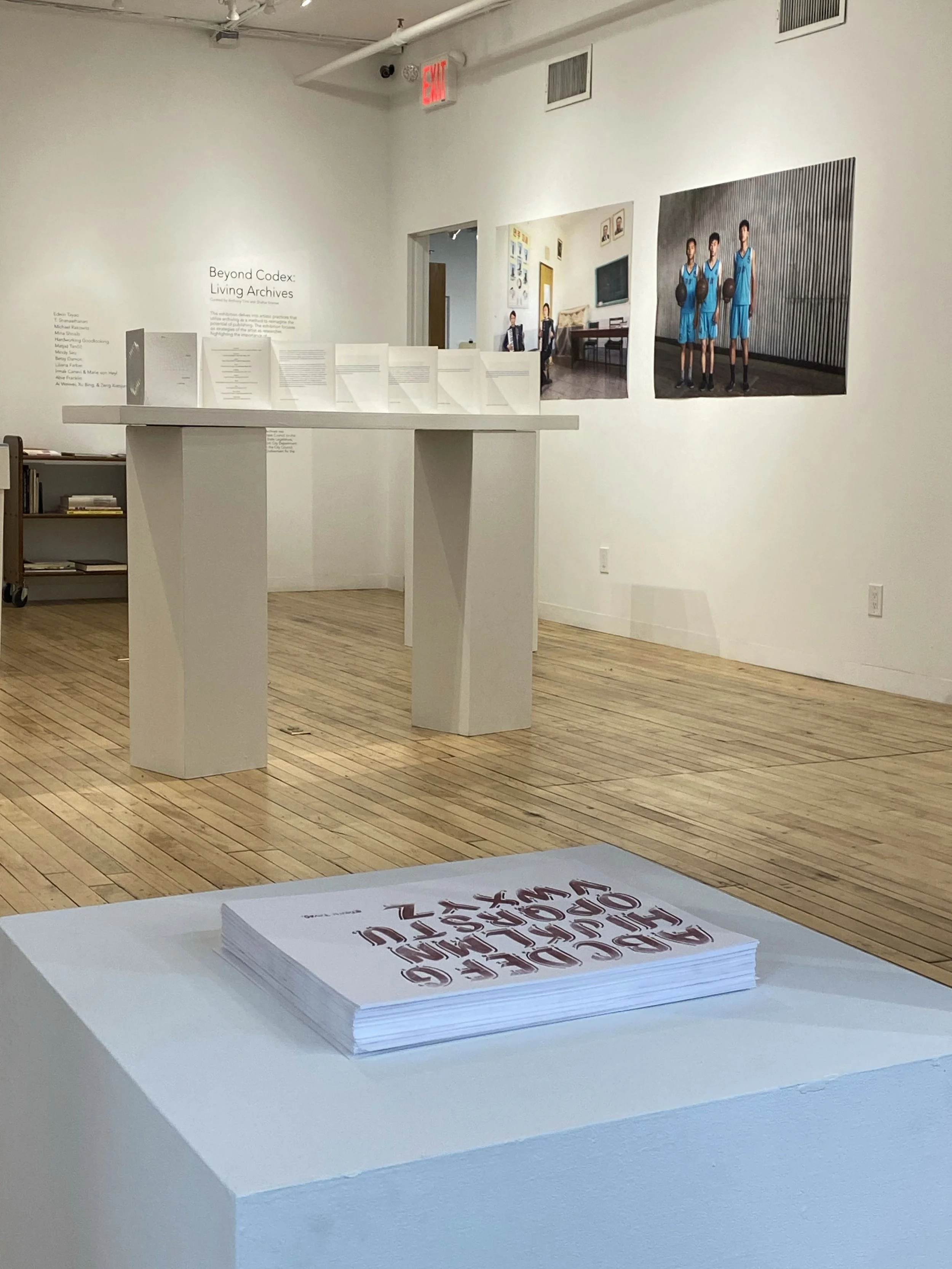 Copy of IMG_6963.jpg