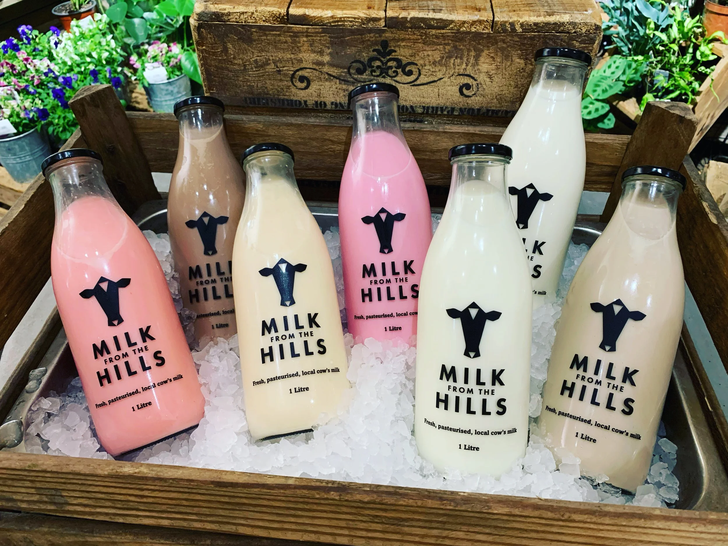General 2 — Milk from the Hills