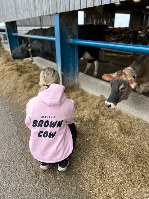 pink brown cow.jpeg