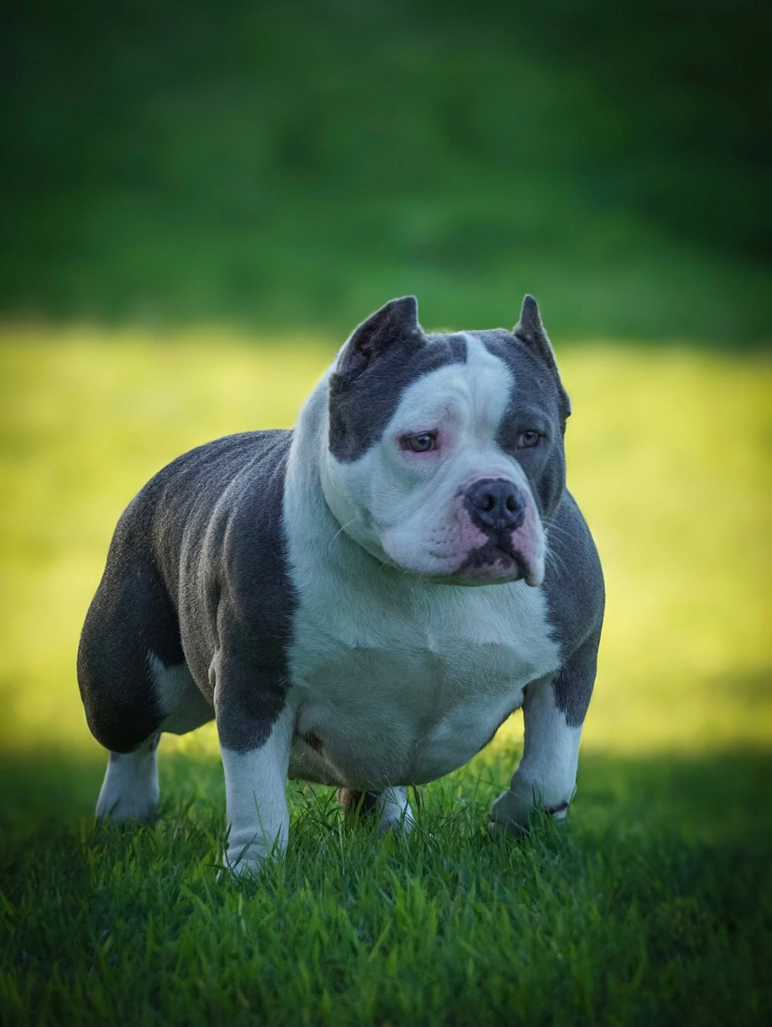1D7344E3-08E7-47EF-ADA5-8DA2781D3FA7.jpeg
