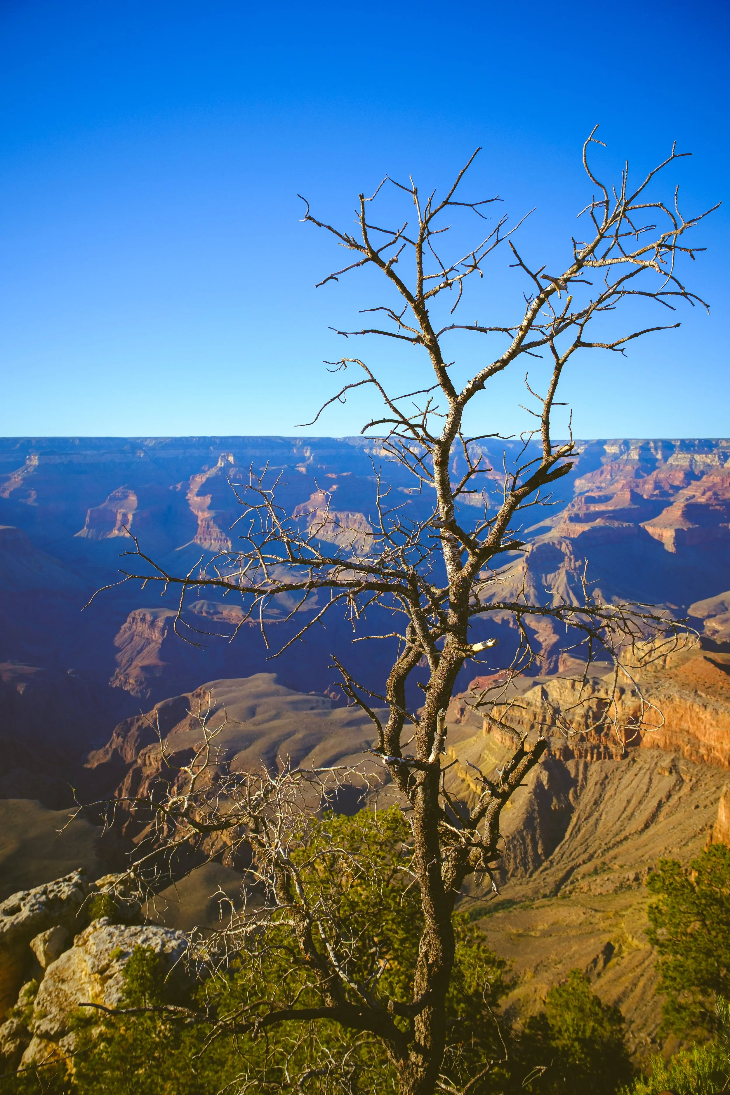 The stark beauty of the Grand Canyon.