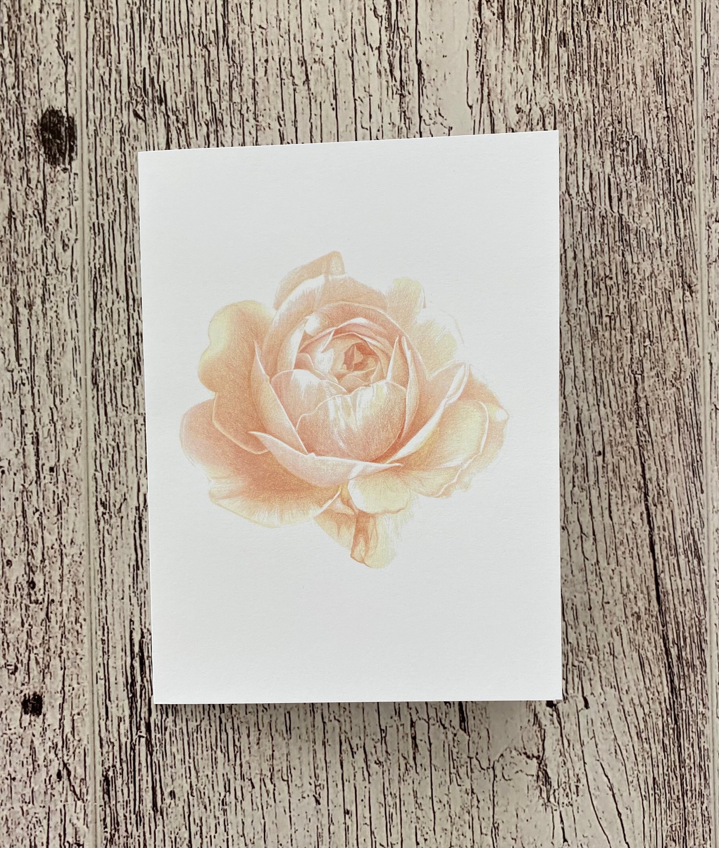 https://i.etsystatic.com/23921828/r/il/f5a678/2742597866/il_fullxfull.2742597866_9paz.jpg